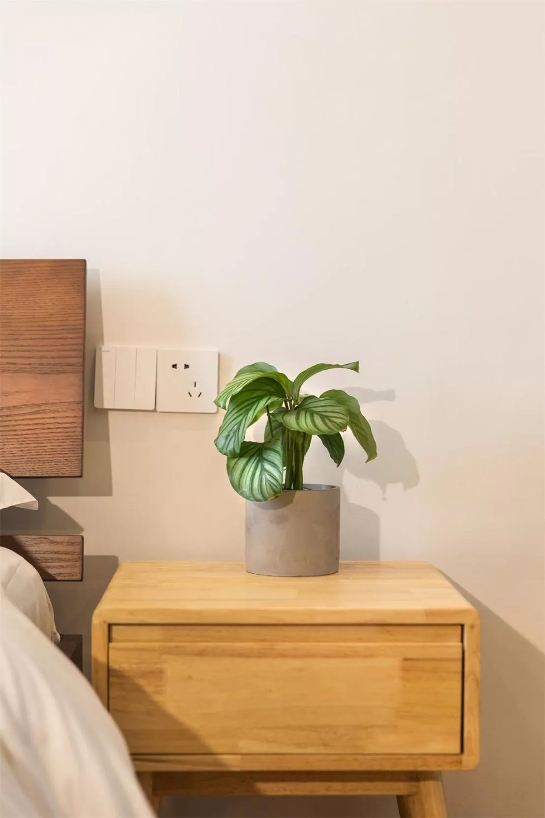 Decorative detail in Wander Hostel