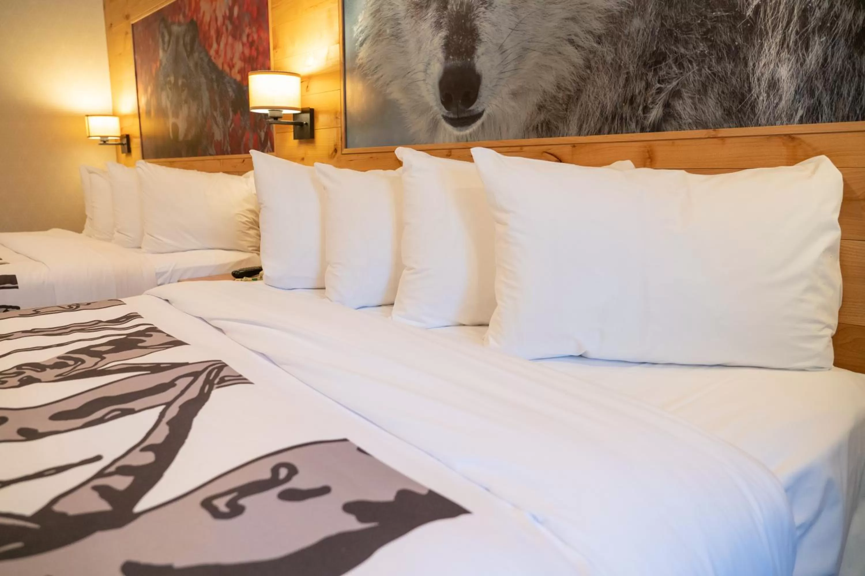 Photo of the whole room, Bed in Banff Rocky Mountain Resort