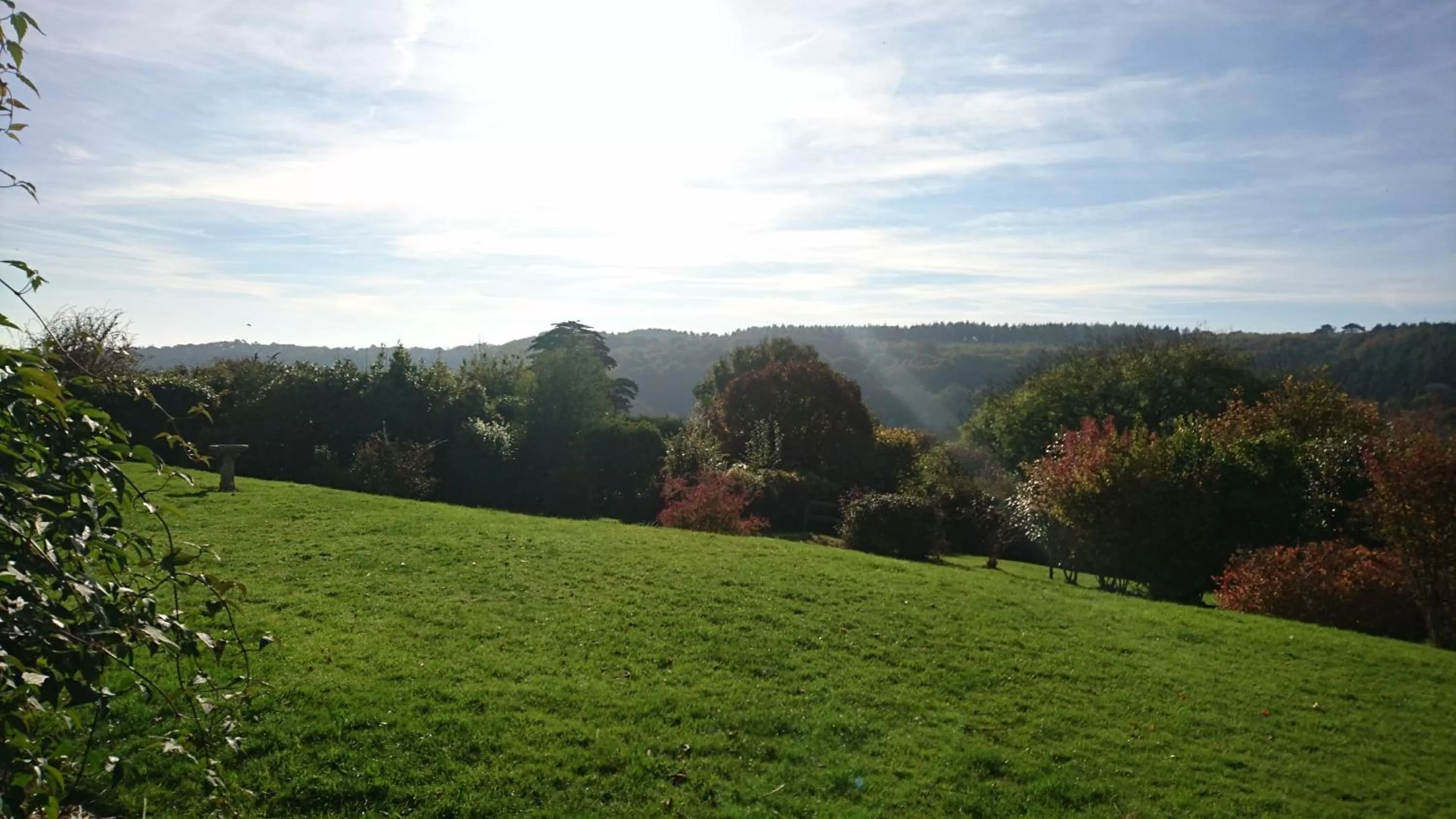 View (from property/room) in Nettle Bank