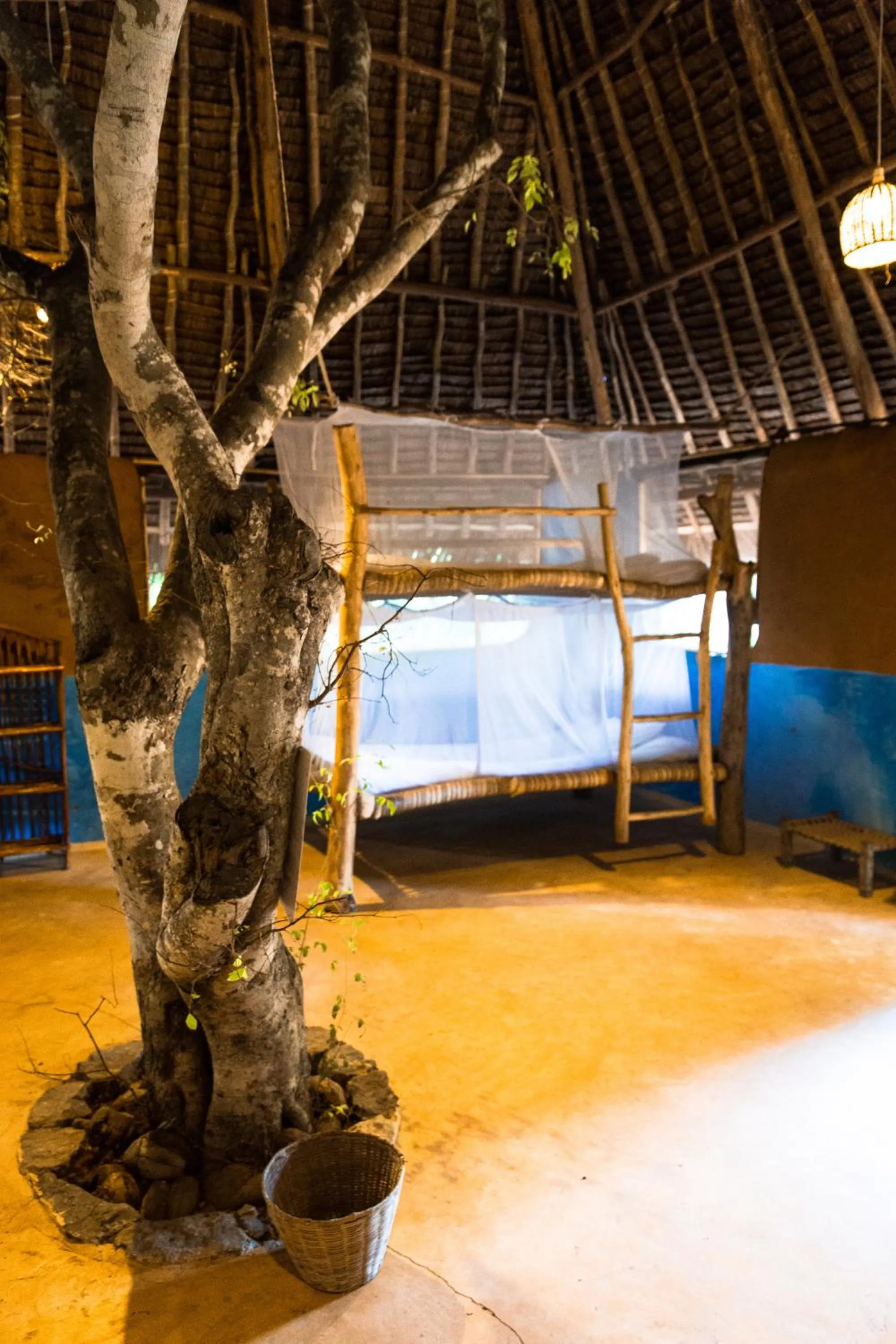 Other in Distant Relatives Ecolodge & Backpackers