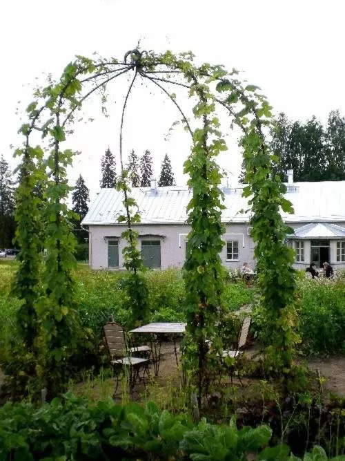 Garden, Property Building in Tertin Kartano
