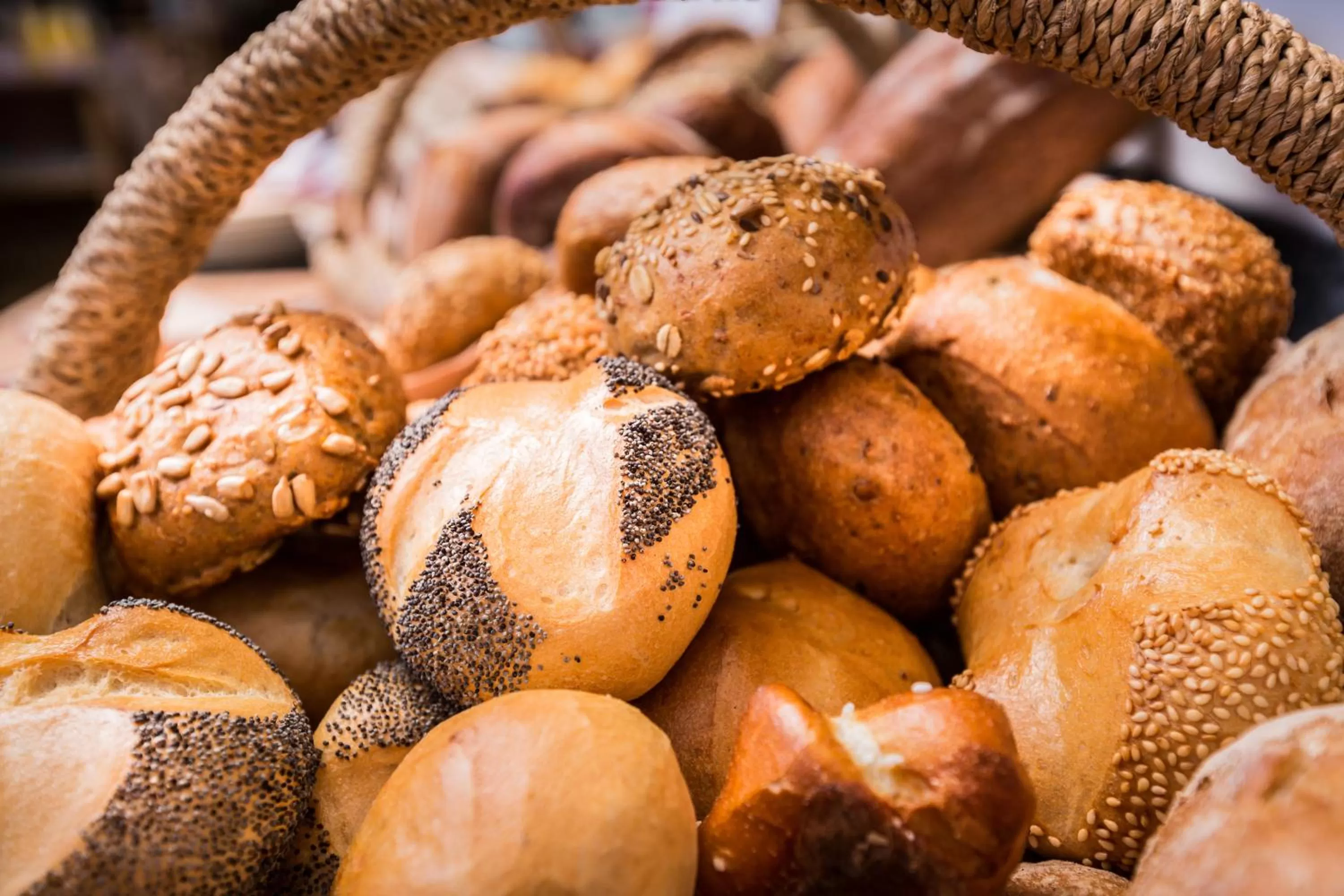 Continental breakfast, Food in Hotel Exquisit