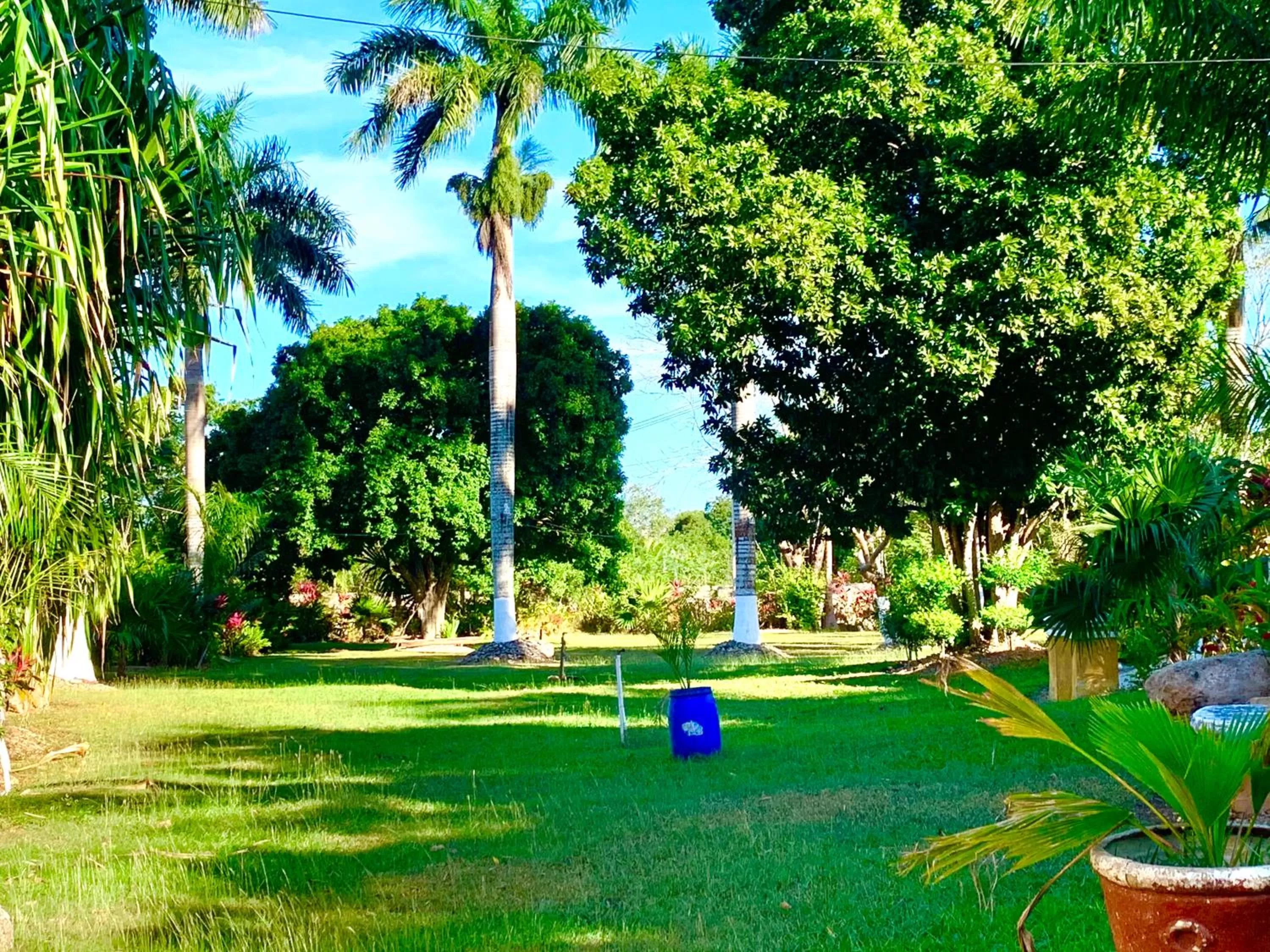 Spring in Hotel Green River