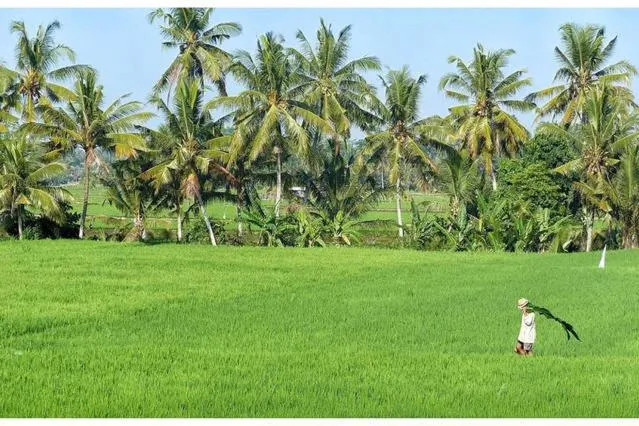 View (from property/room) in Bali Harmony Villa