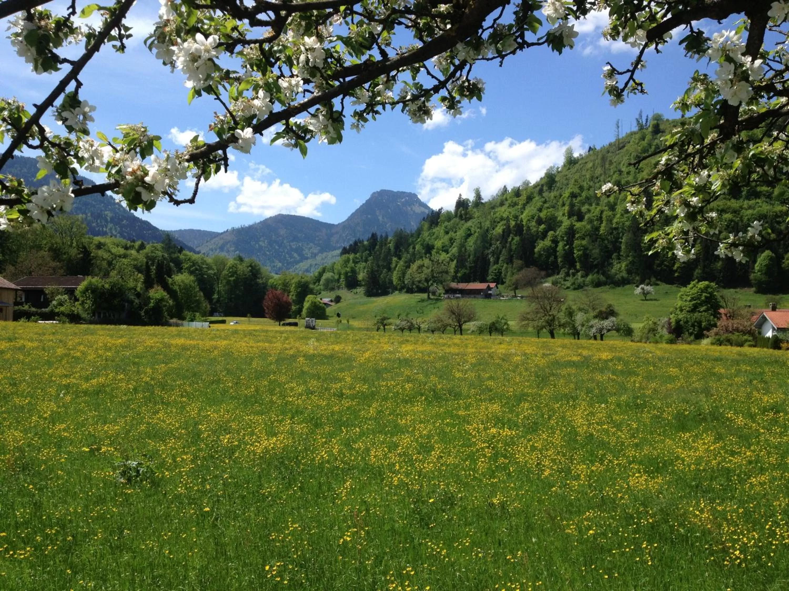 On site, Natural Landscape in Alpenhof Landhotel Restaurant