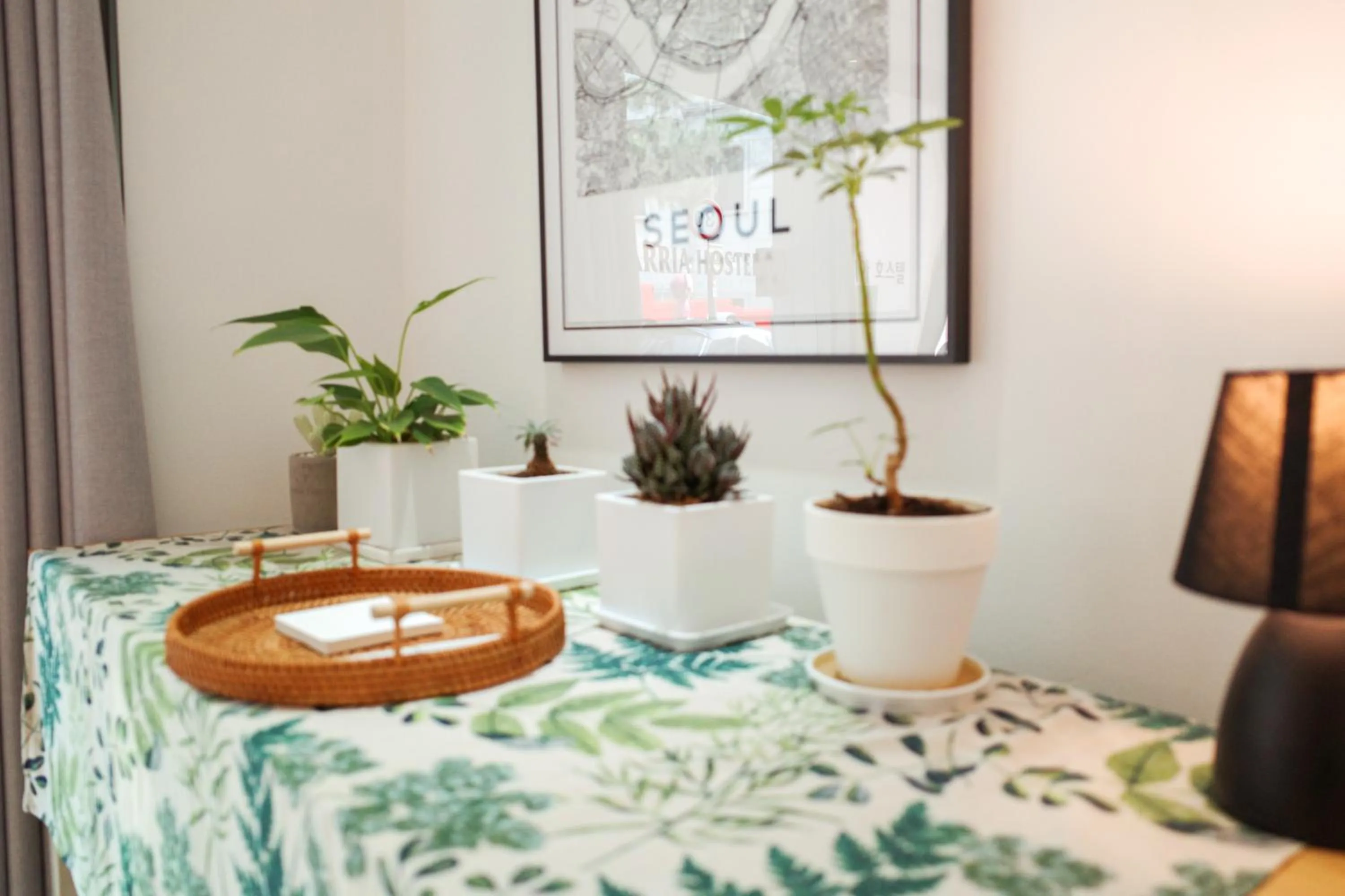 Lobby or reception in Starria Hostel foreign guest only