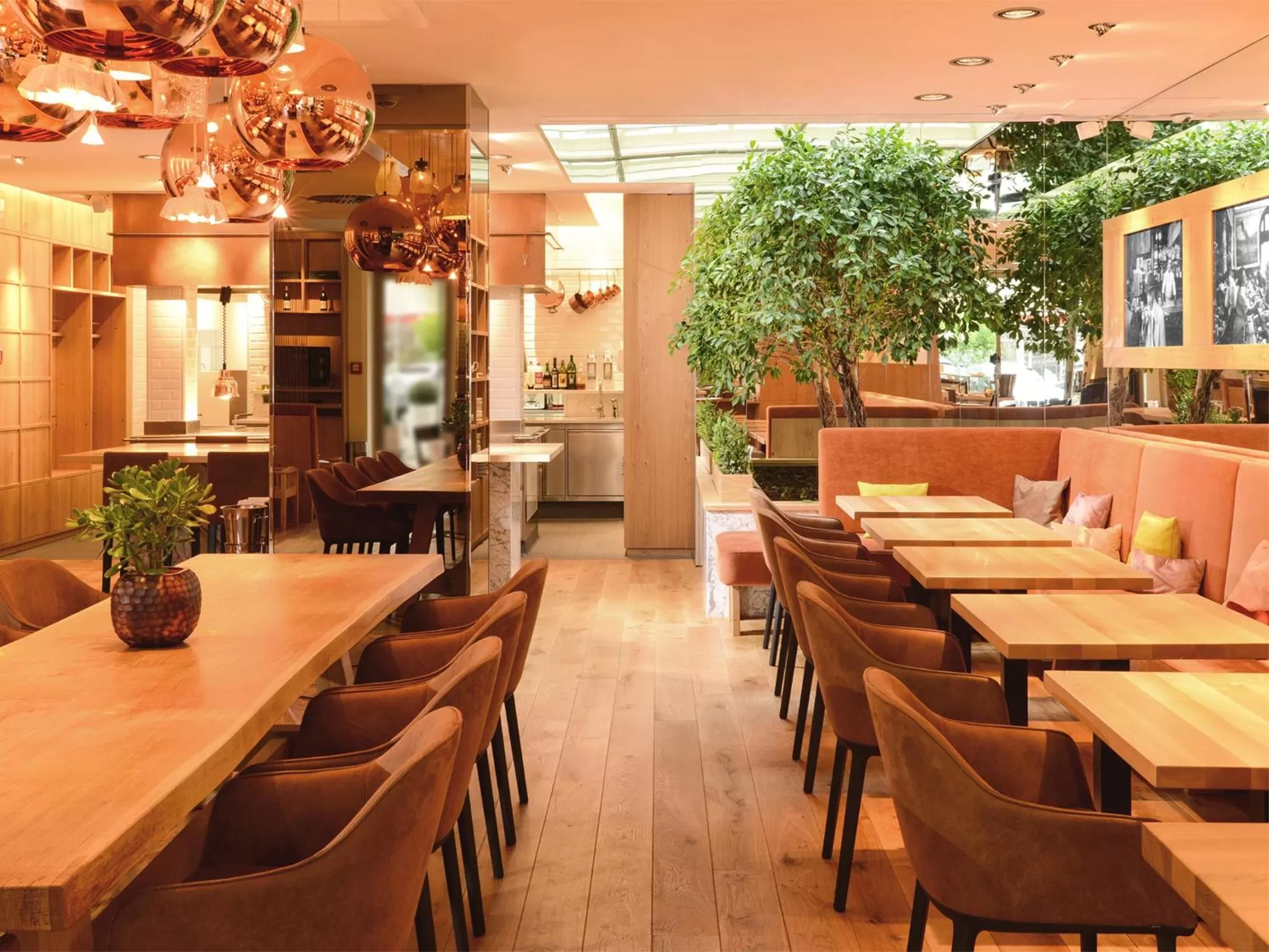 Restaurant/places to eat in Trüffel Hotel