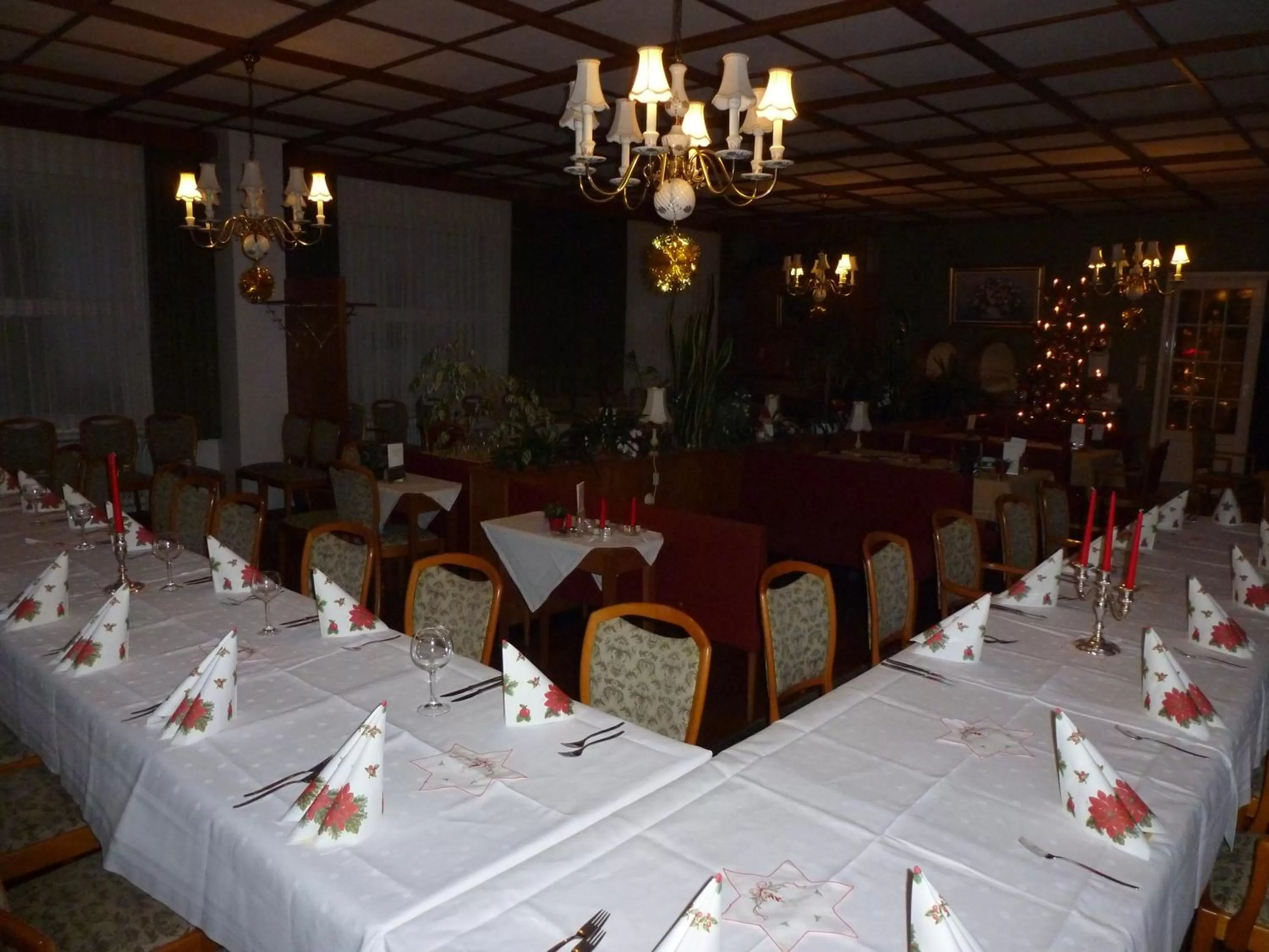 Banquet/Function facilities in Waldschlösschen