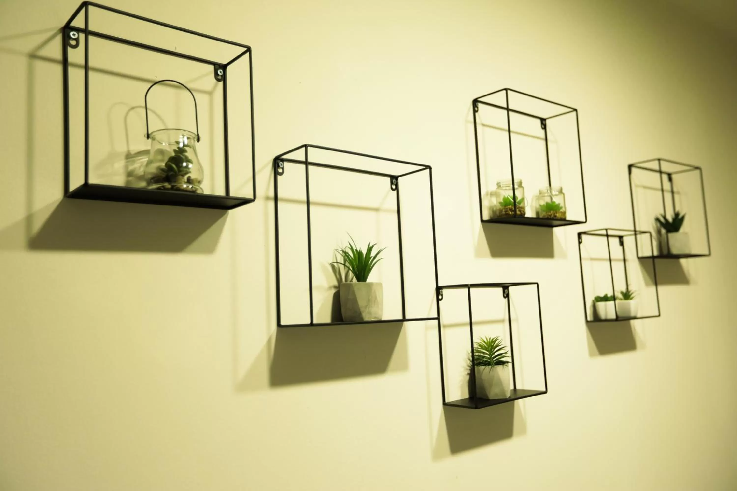 Area and facilities in Sar'Otel Boutique Hotel