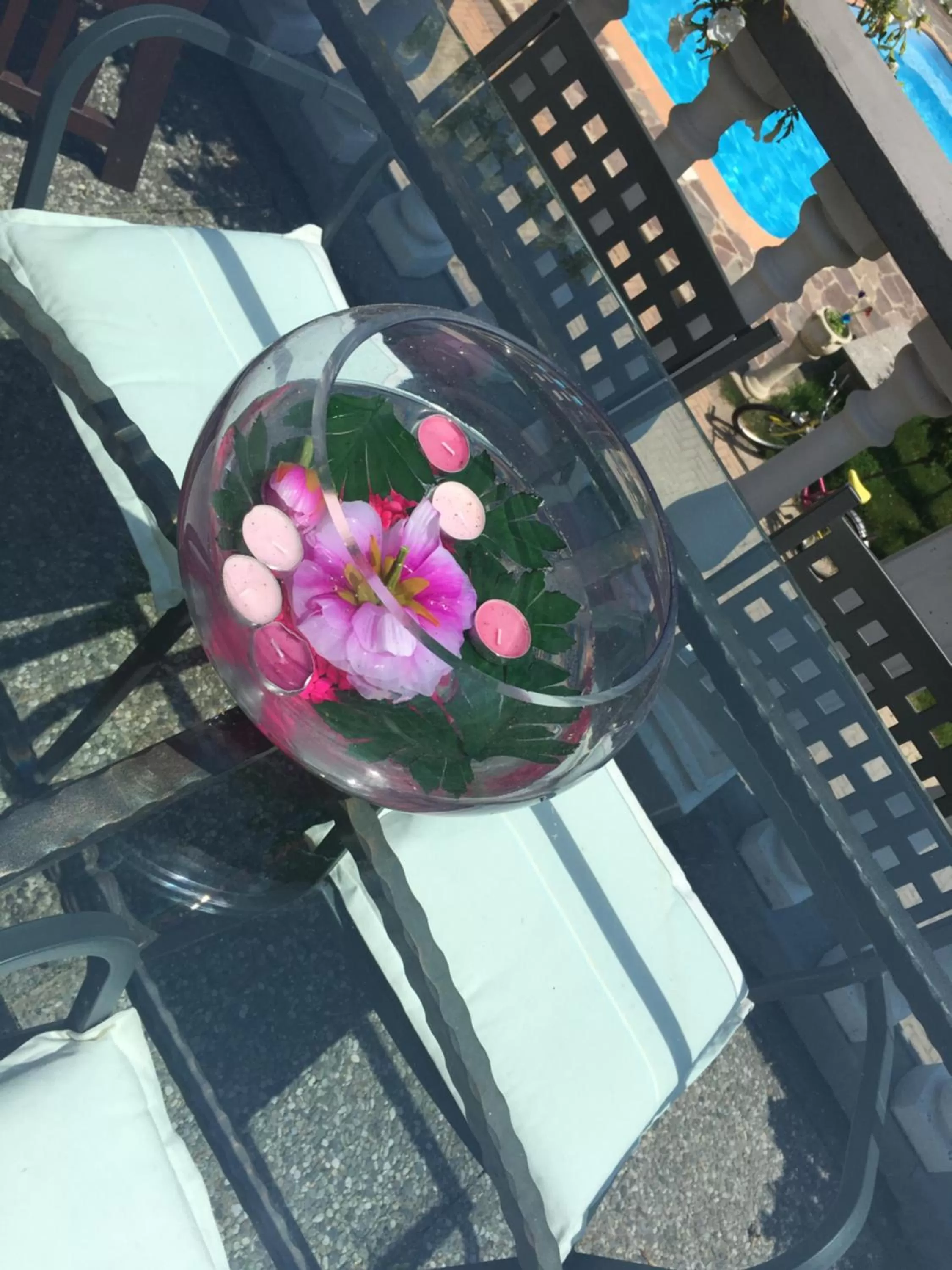 Rossella alla Villarella dei Tulipani