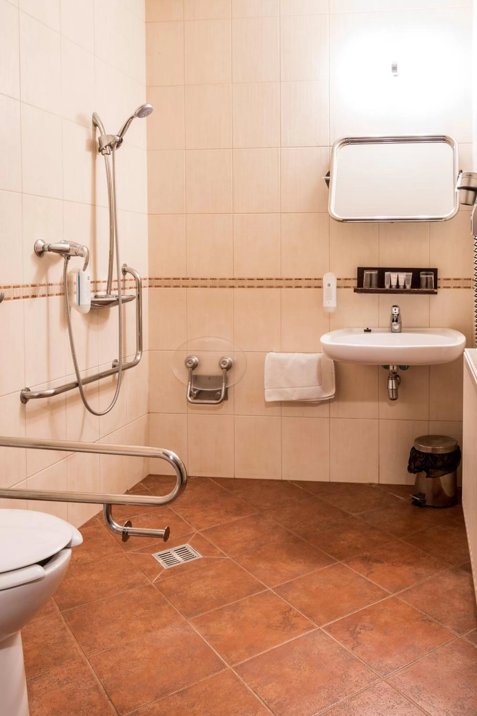 Bathroom in Hotel U Hejtmana Šarovce