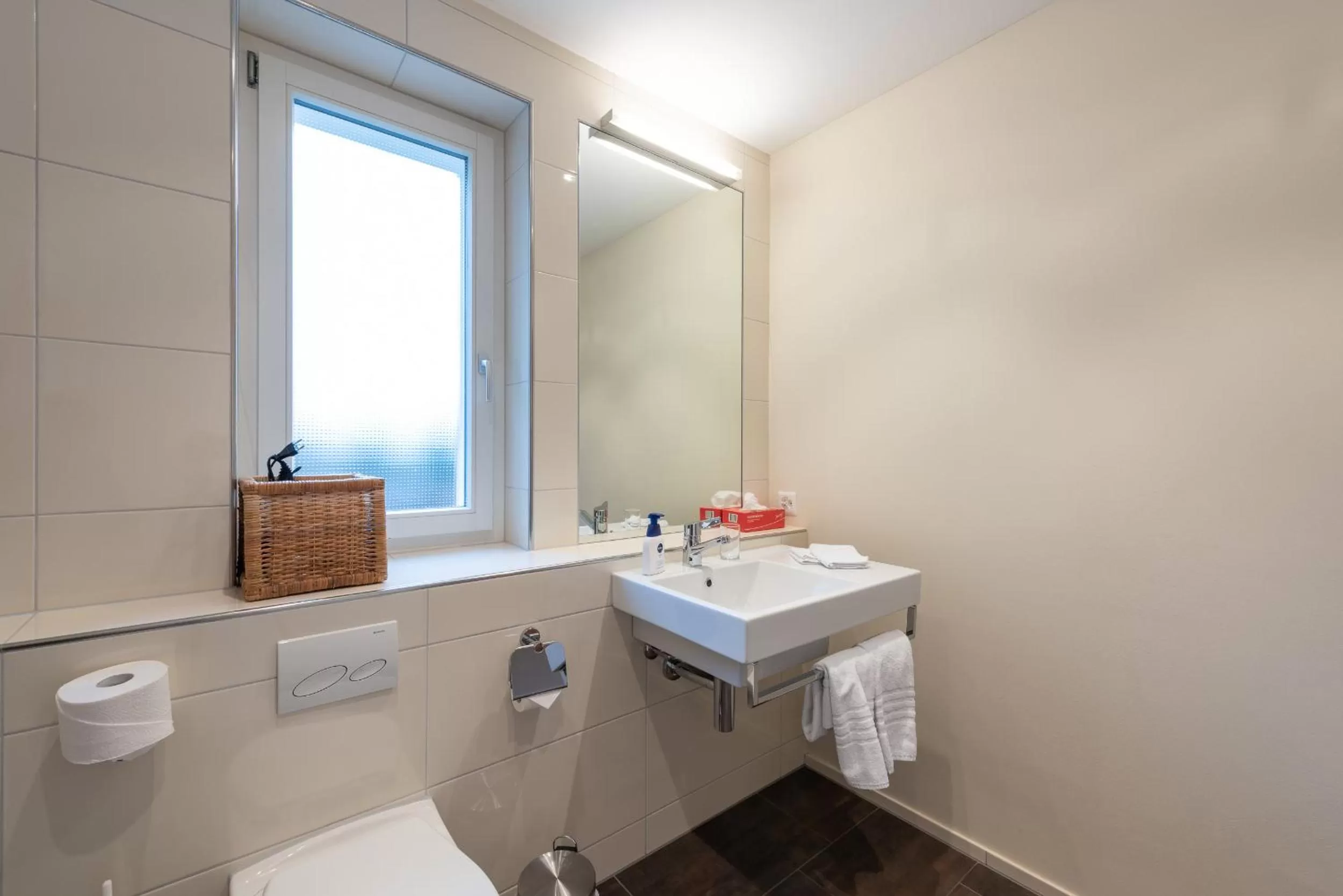 Toilet in Hotel Rössli