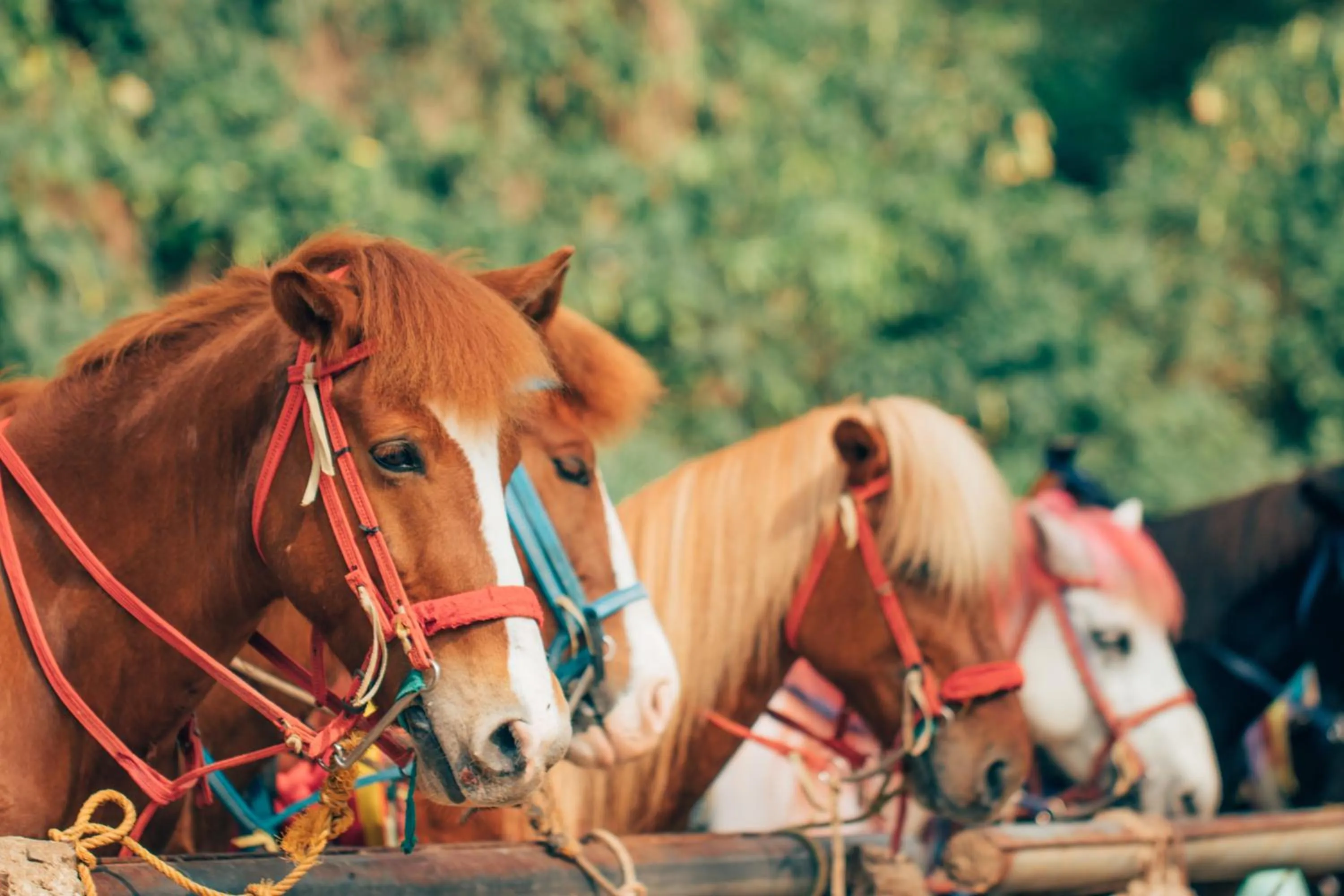 Nearby landmark in Azalea Residences Baguio