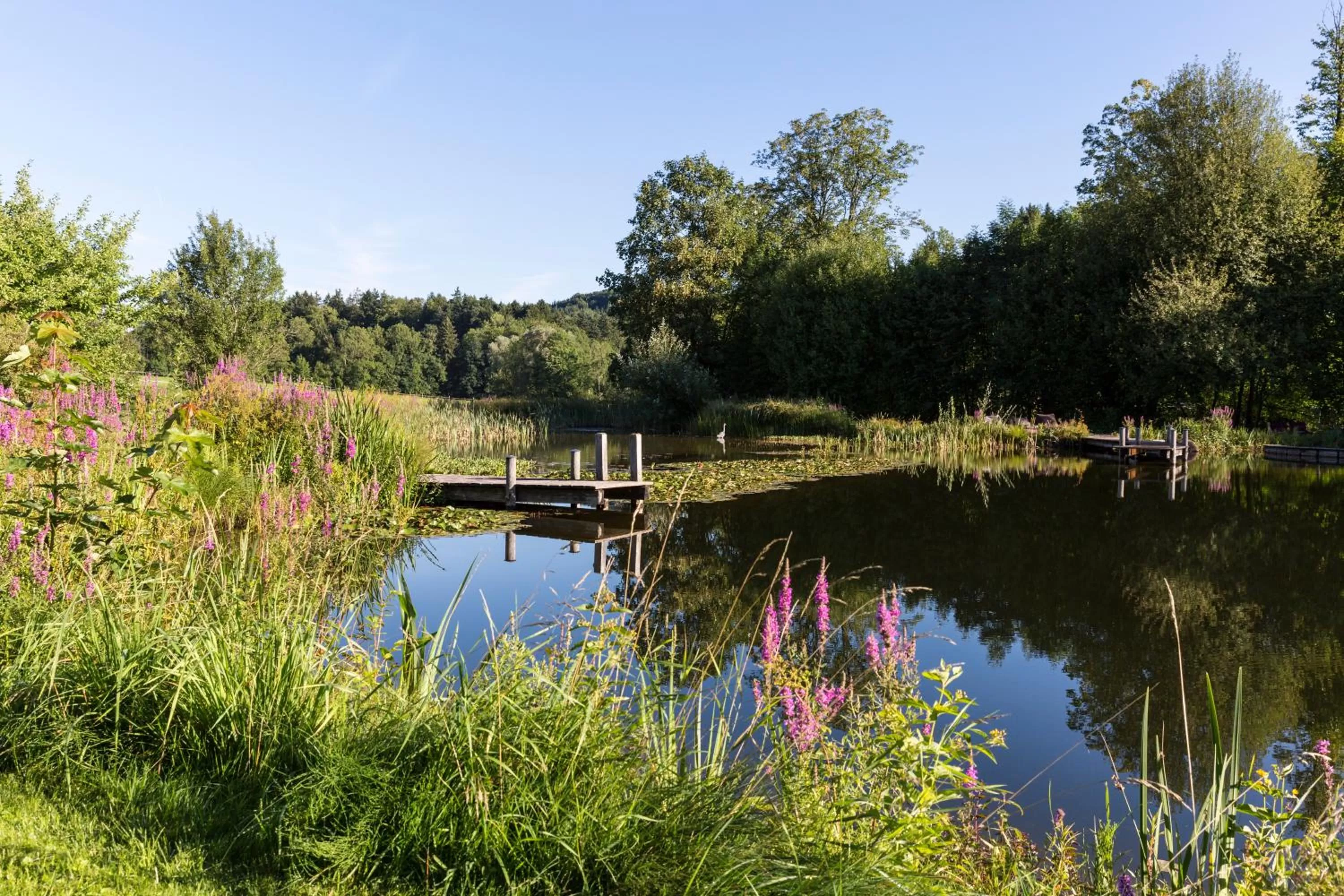 Garden in Hotel Hörterer Der Hammerwirt