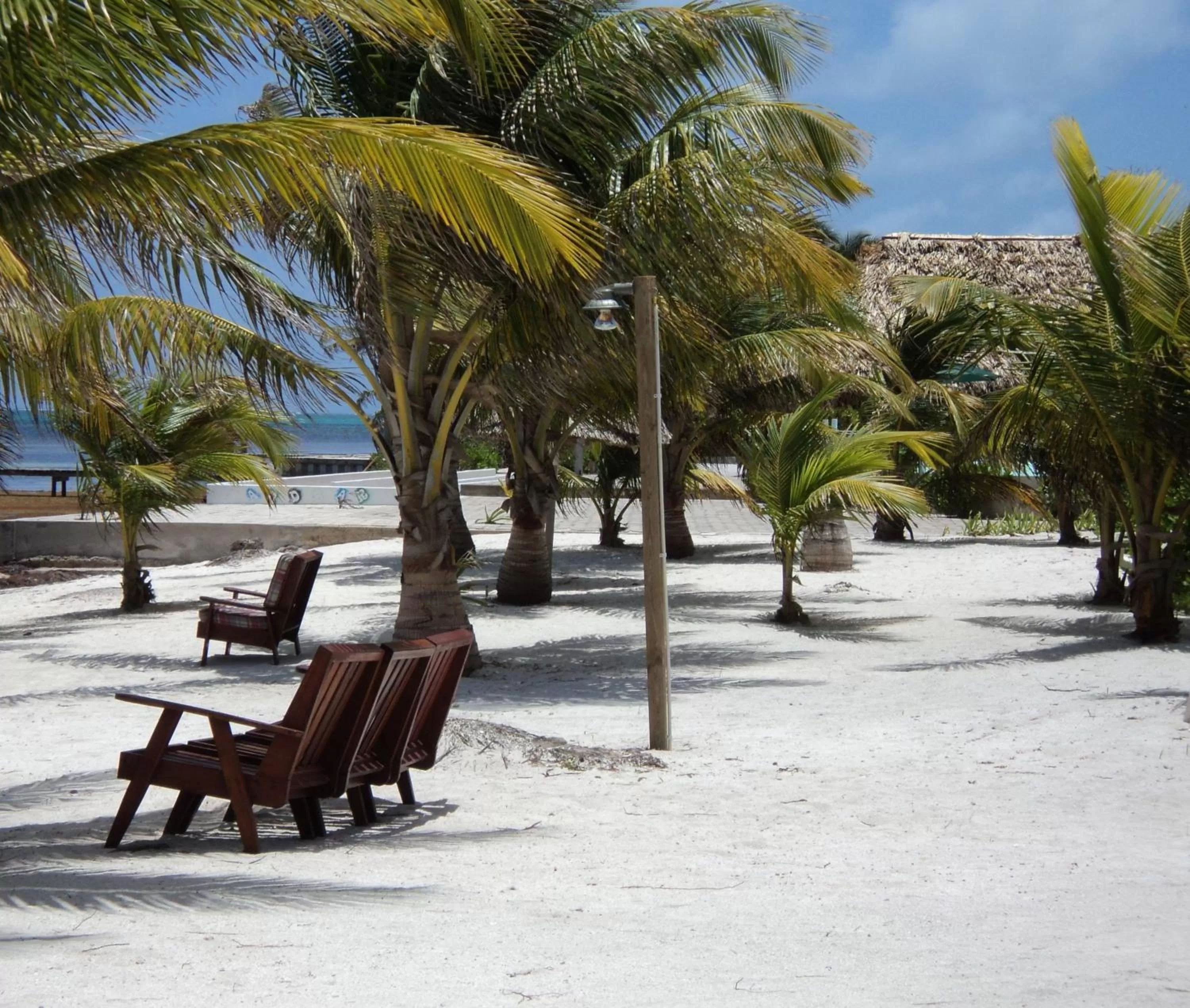 Beach in Royal Caribbean Resort