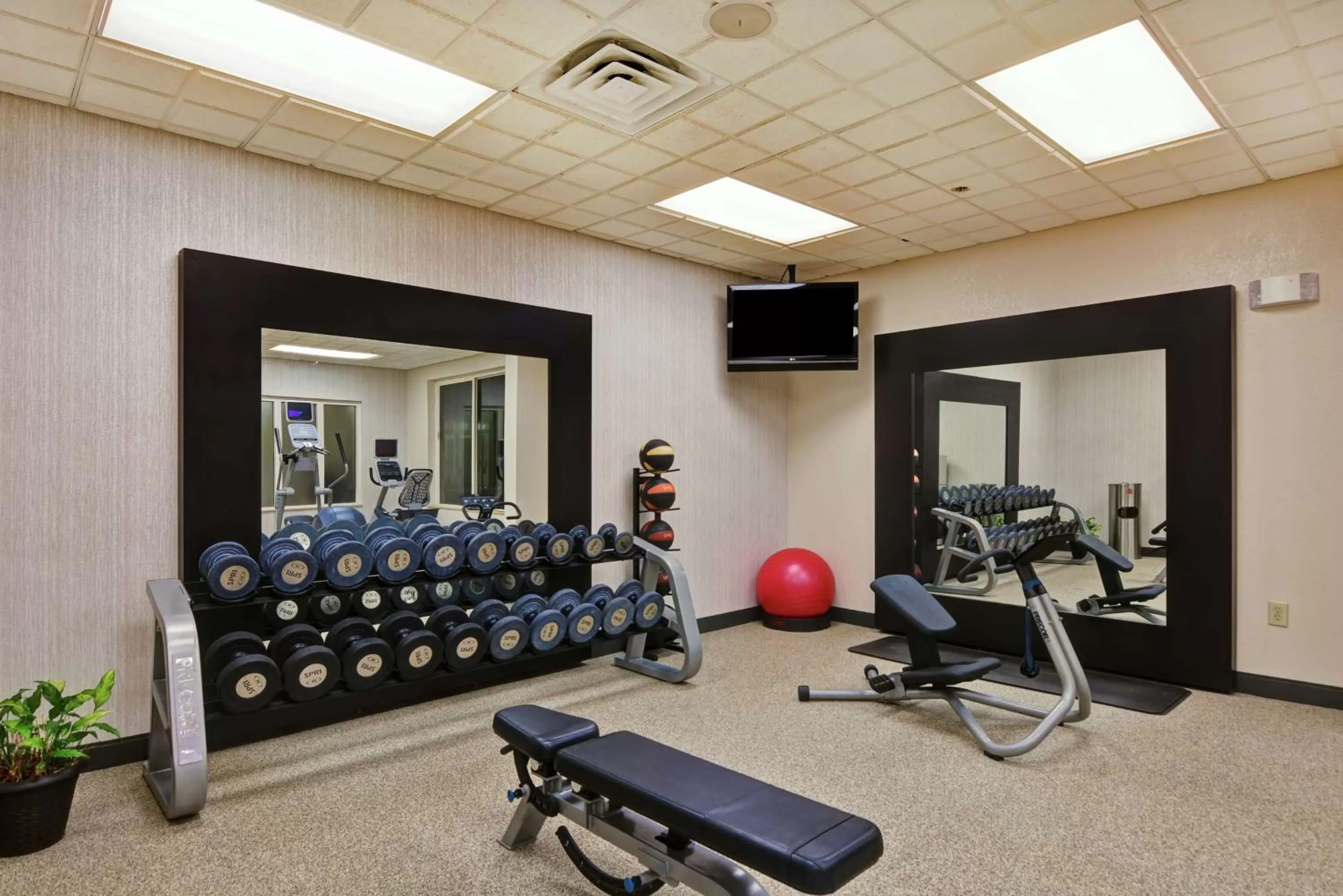 Fitness centre/facilities in Hilton Garden Inn Mobile East Bay / Daphne