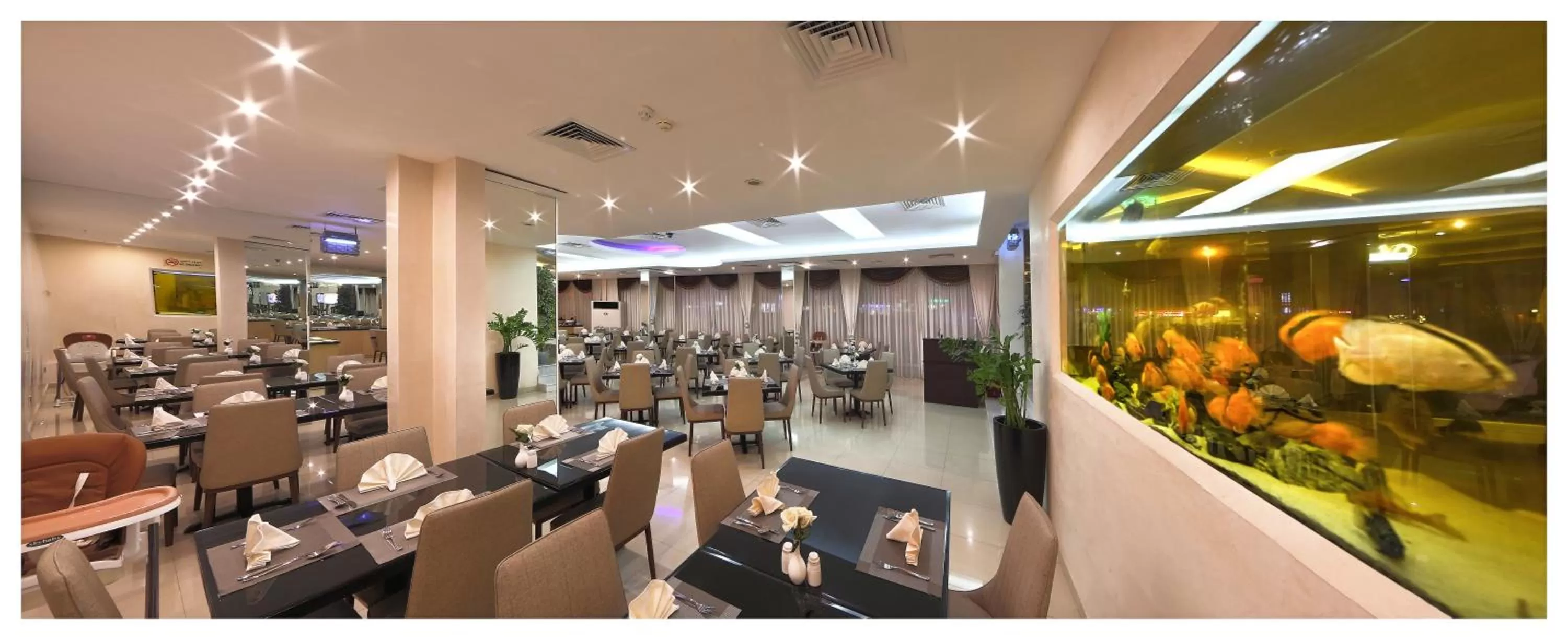 Restaurant/places to eat in Nova Park Hotel