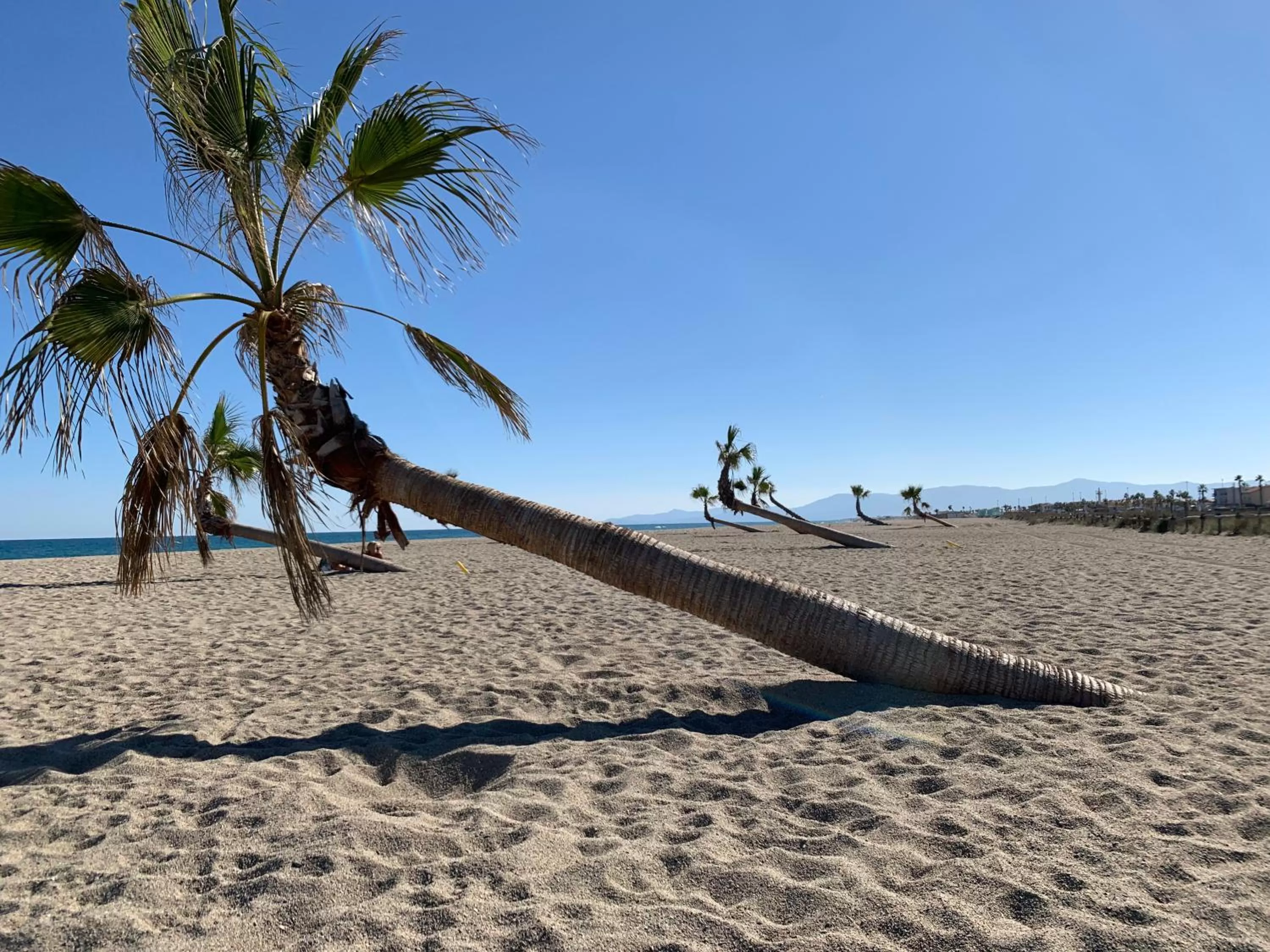 Résidence La Pinède