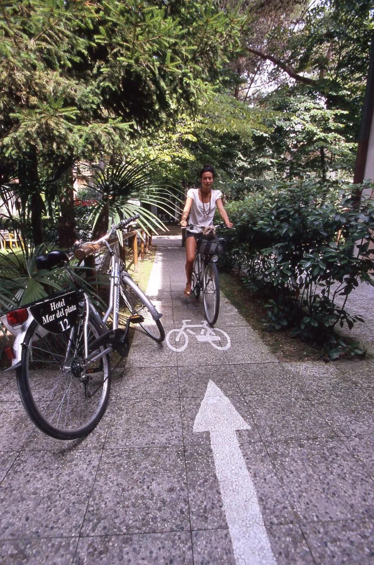 Cycling in Hotel Mar Del Plata