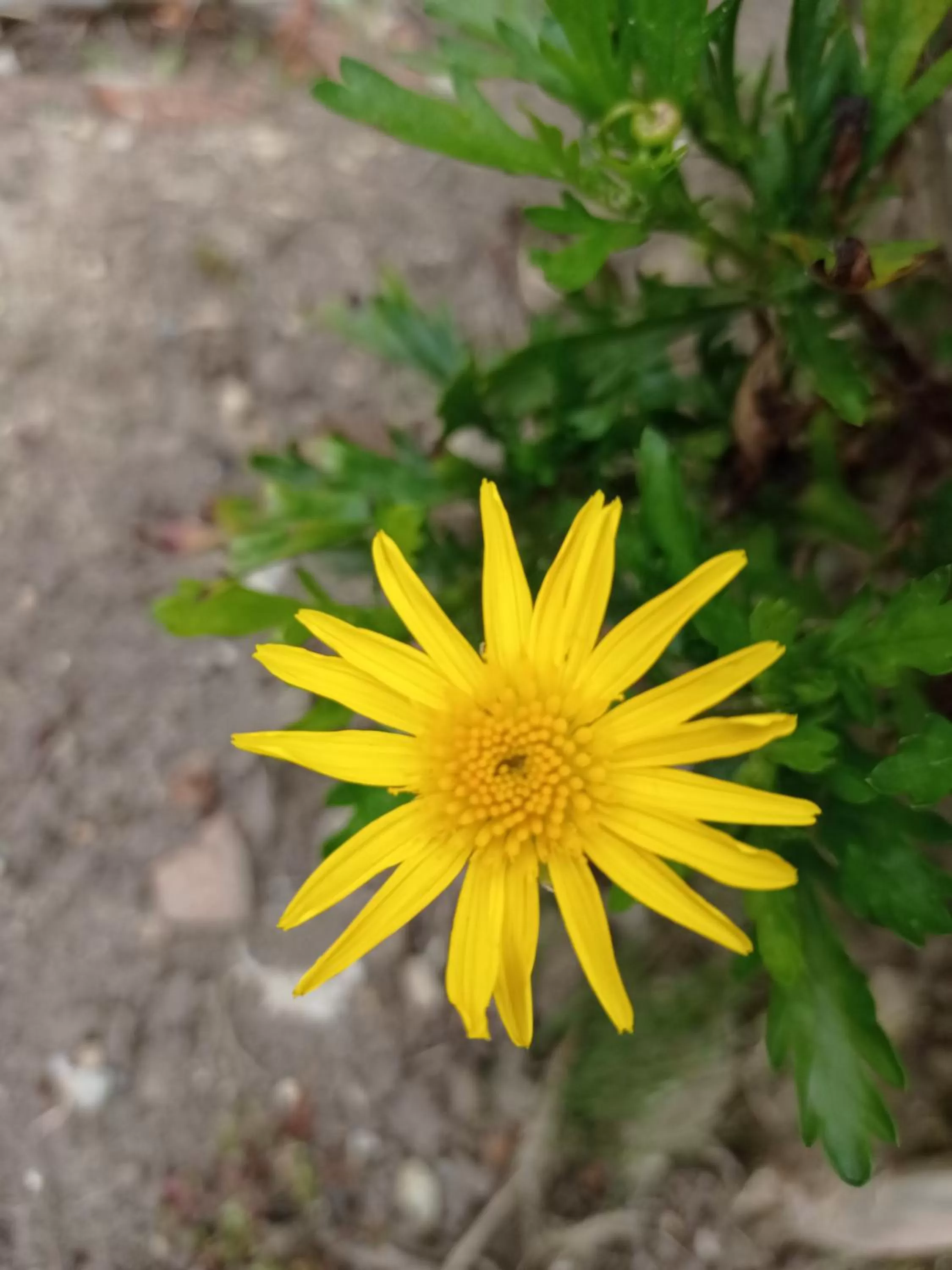 Hotel Refugio Pozo Azul