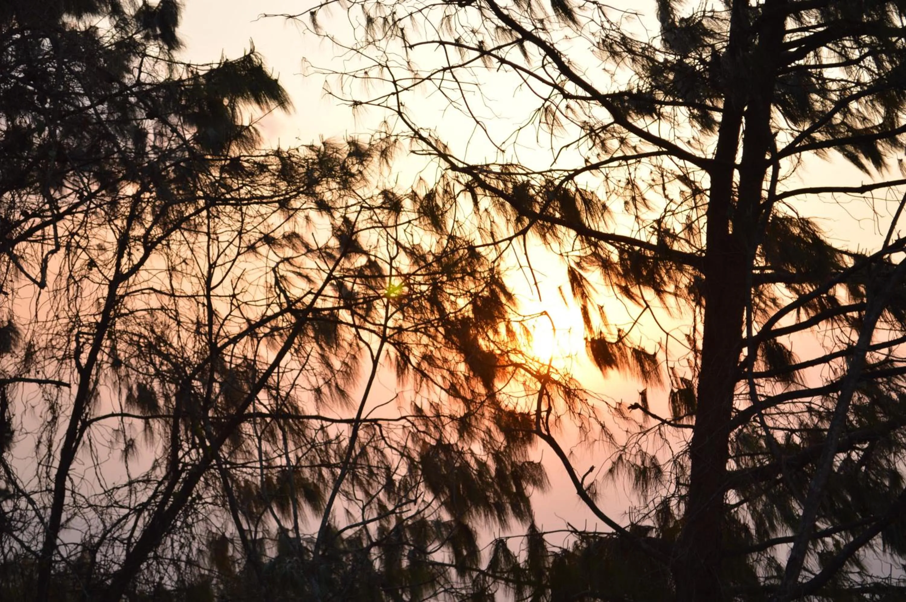 Hotel At The End Of The Universe