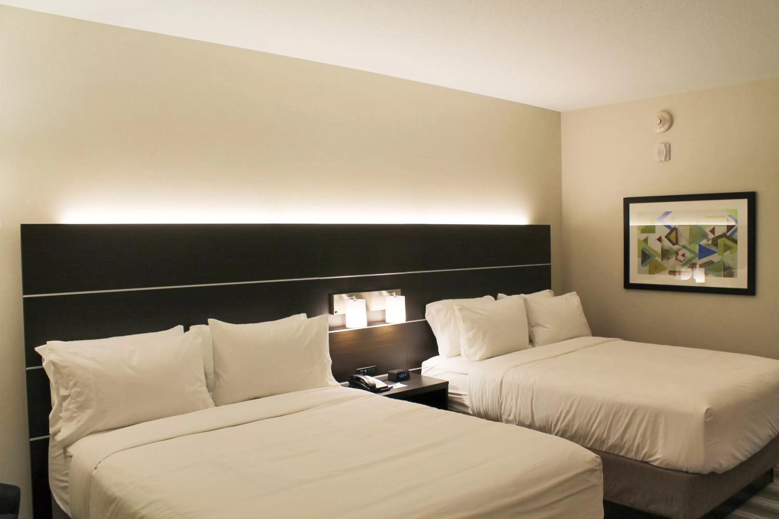 Photo of the whole room, Bed in Holiday Inn Express & Suites - St. Louis South - I-55 by IHG