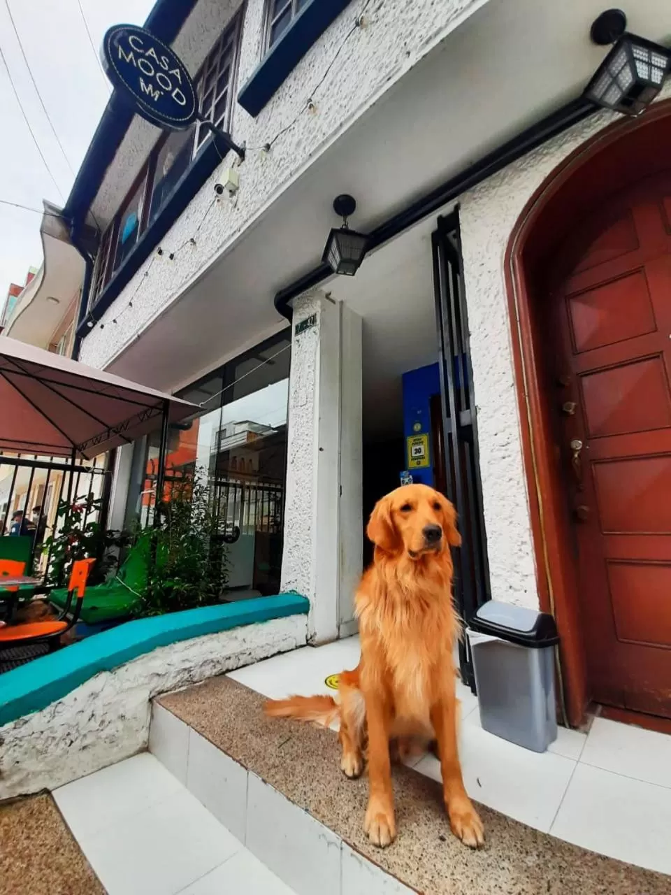 Facade/entrance, Pets in Casa Mood Usaquen
