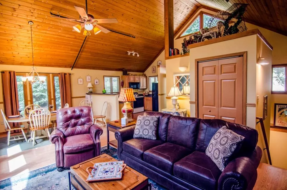 Living room in Asheville Cabins of Willow Winds
