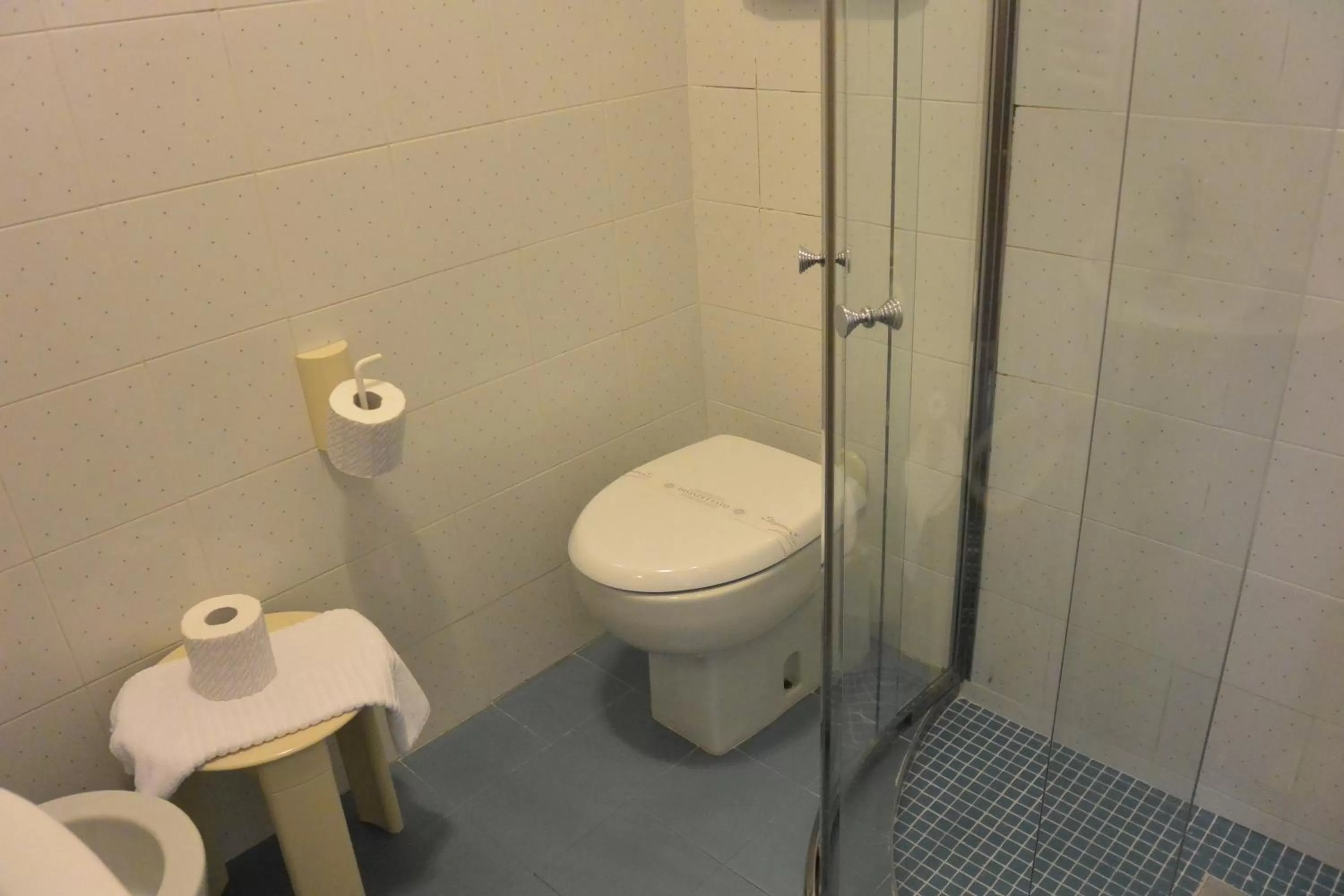 Toilet in Hotel Falier