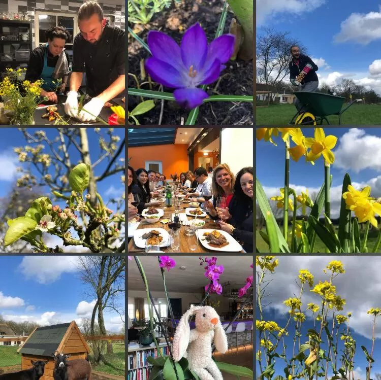 Villa BlauwHemel Diever