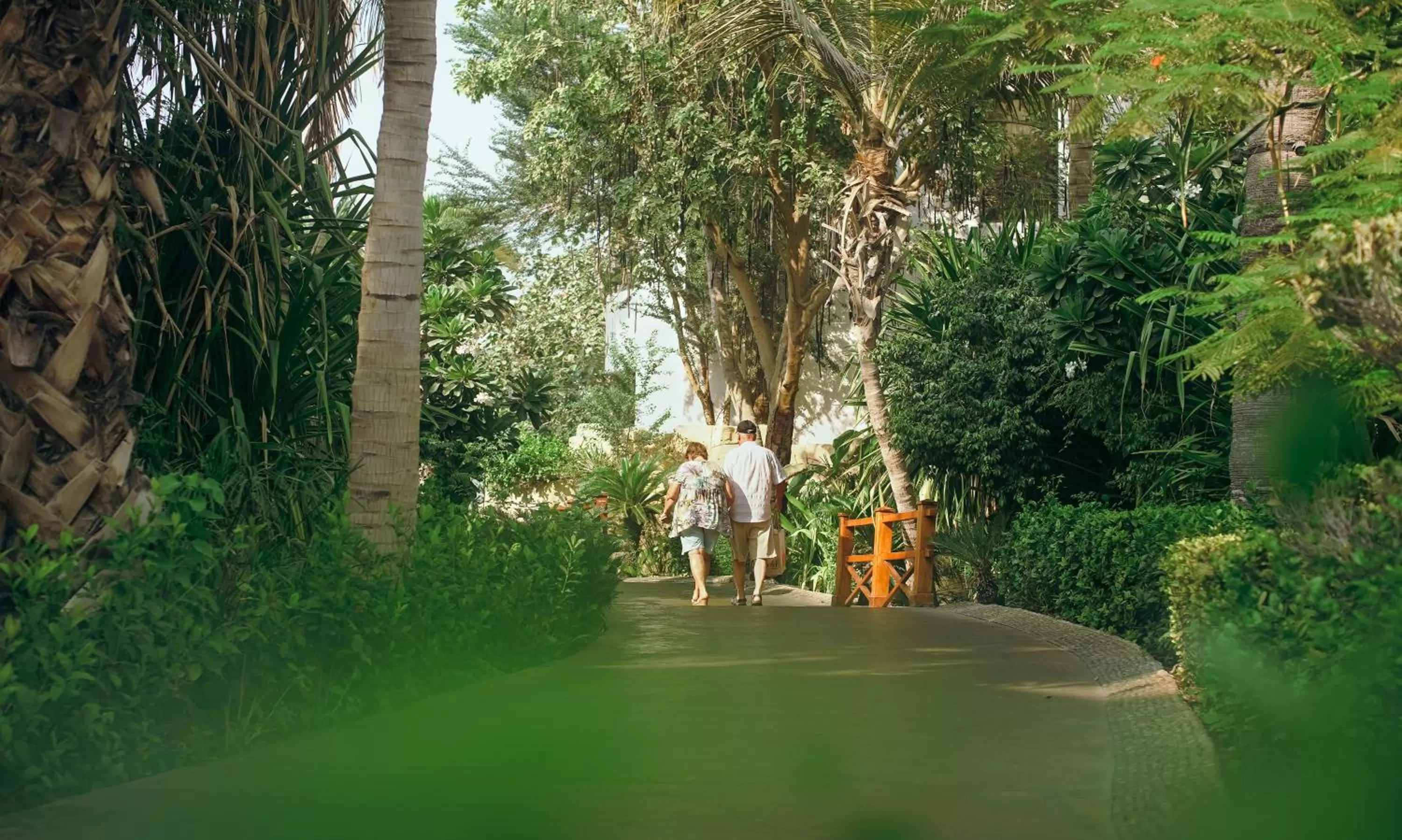 Natural landscape in Dubai Marine Beach Resort & Spa