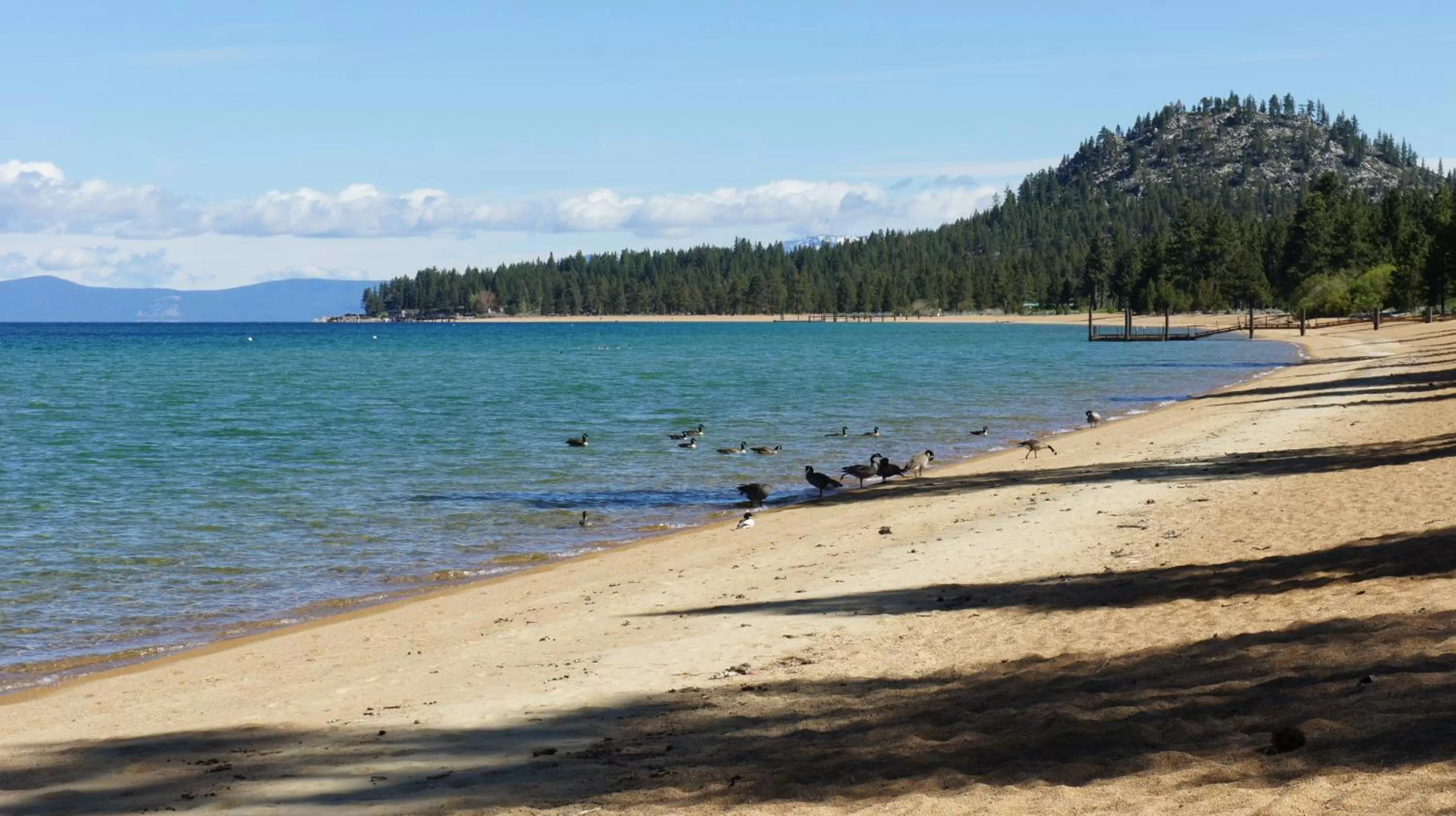 Beach in Paradice Motel