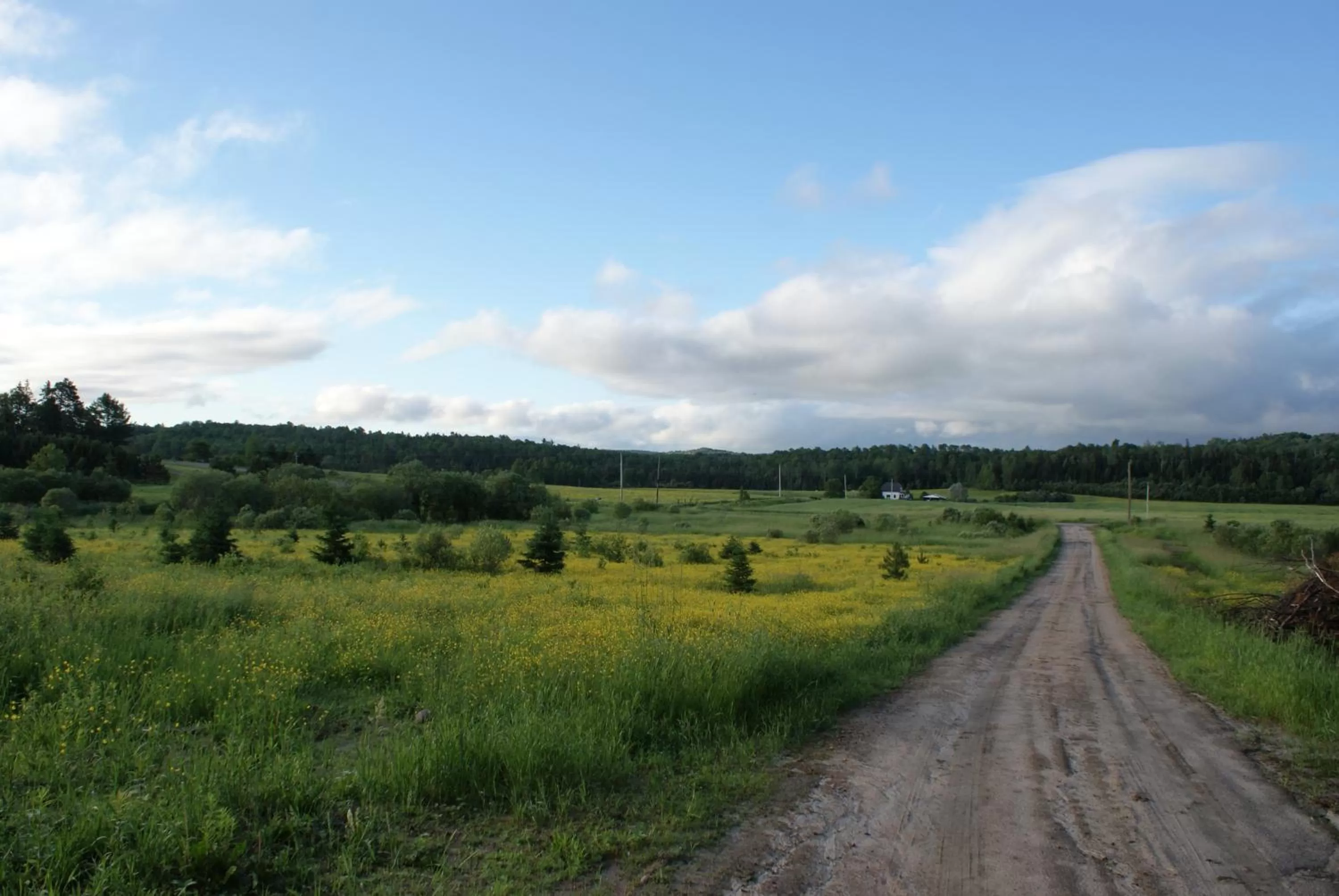 Natural Landscape in Top of Algonquin Bed and Breakfast