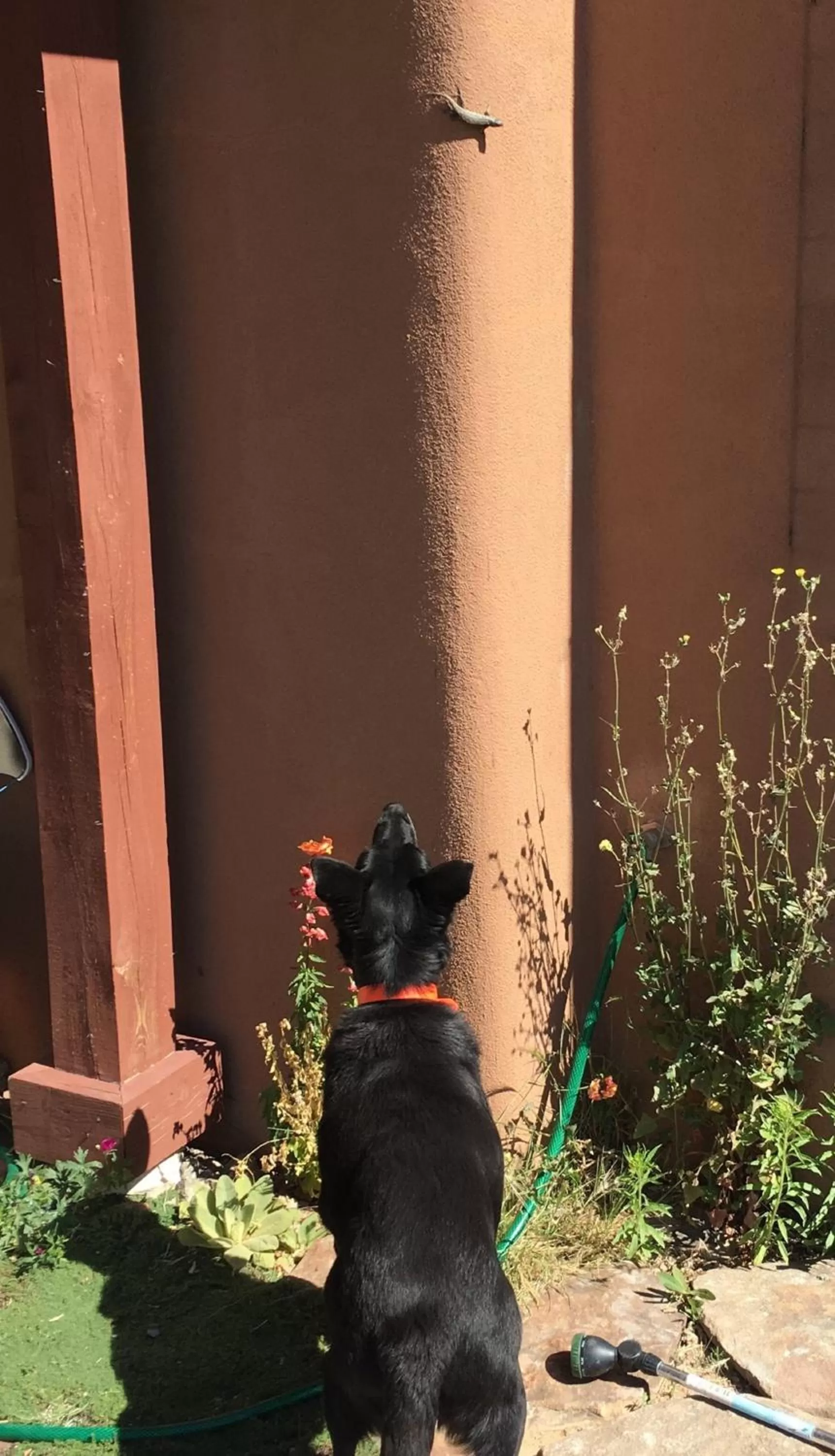 Balcony/Terrace in Bobcat Inn