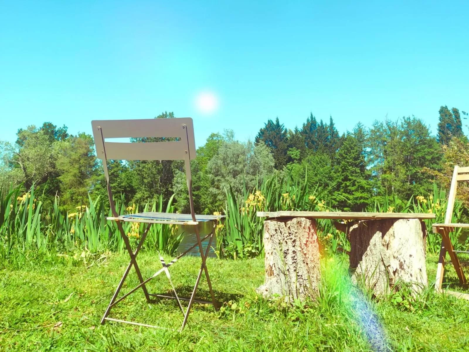 Garden in Hôtel L'ile Du Saussay