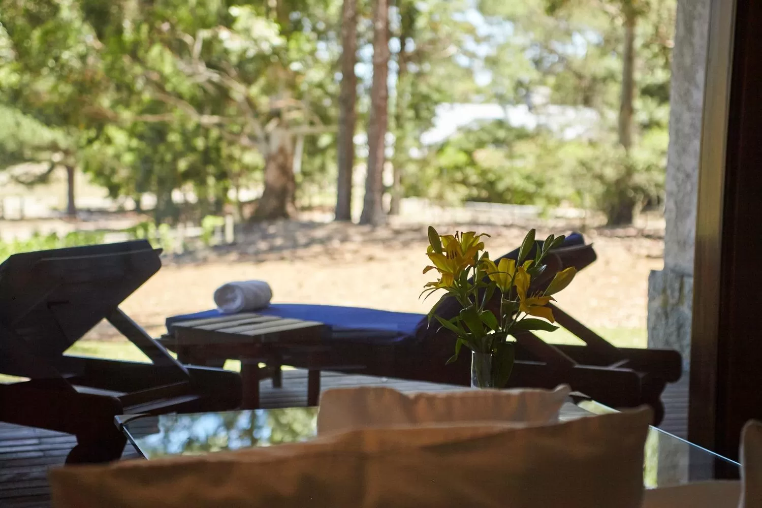 Garden view in Carmelo Resort & Spa