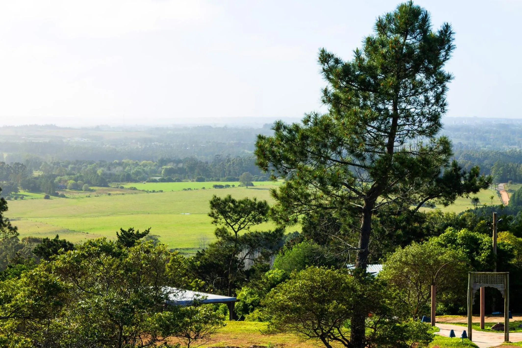 Garden view in Las Cumbres Hotel