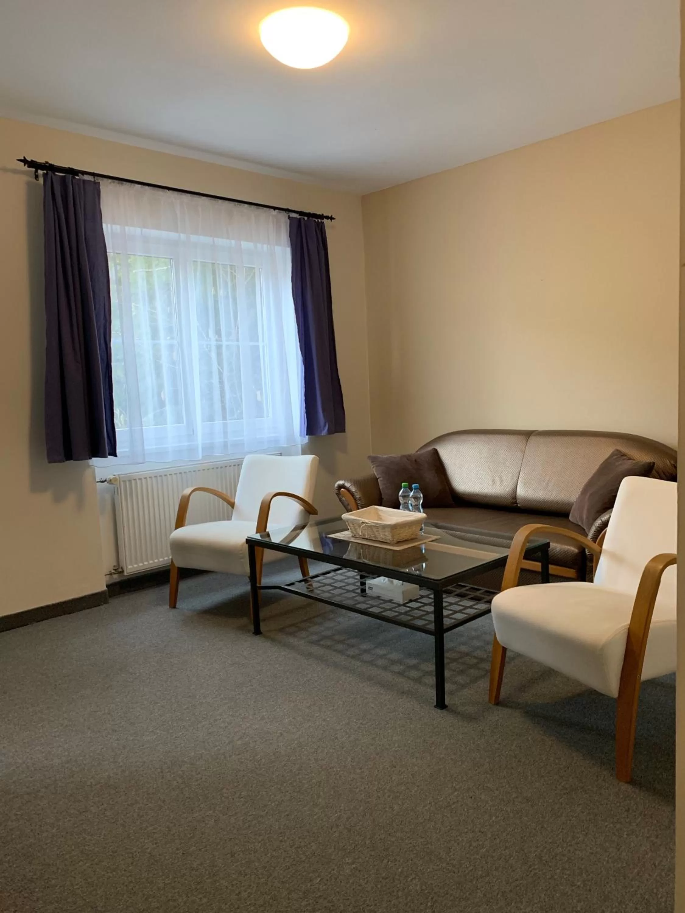 Living room, Seating Area in Apartma La Provence