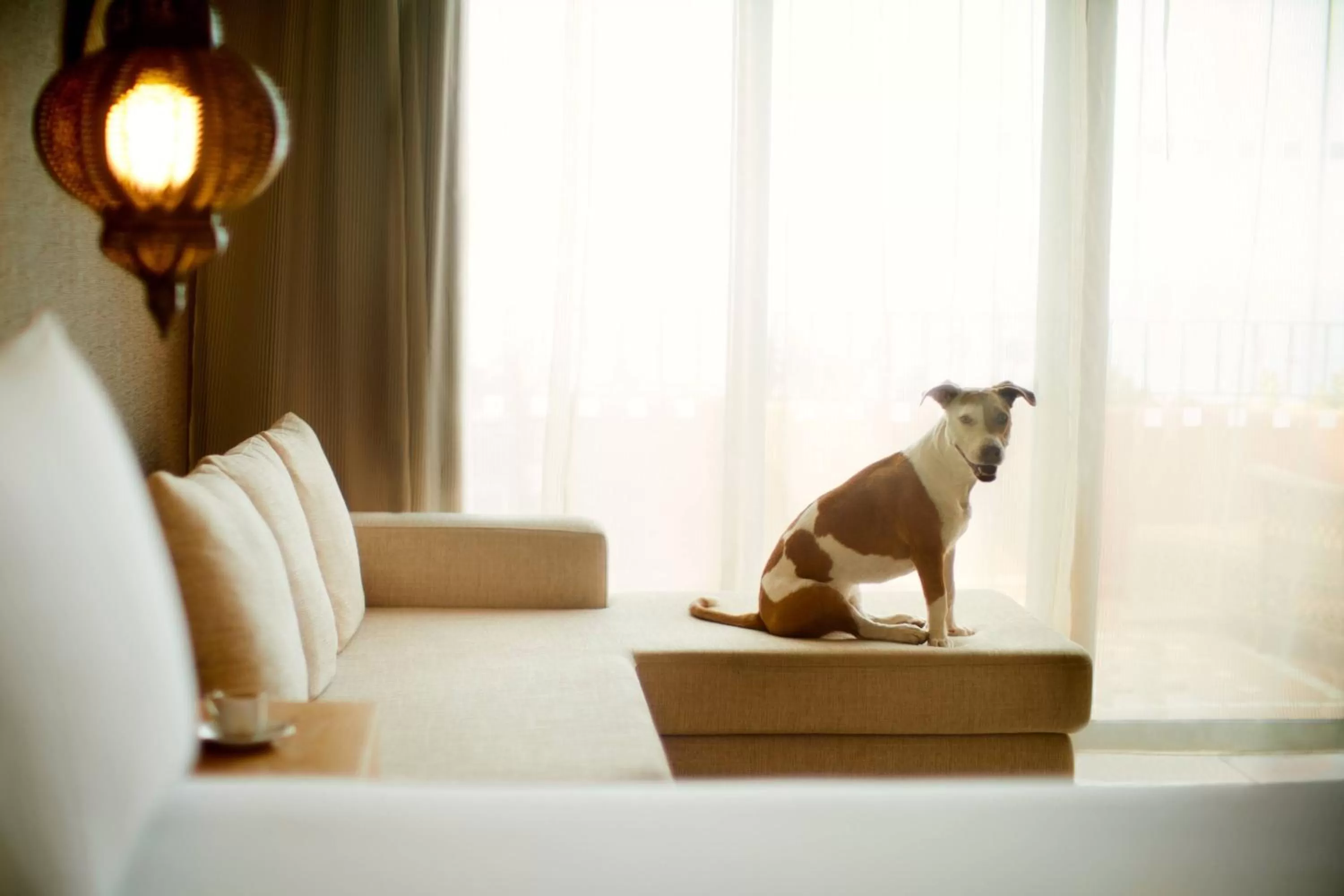 Other in The Ritz-Carlton Tenerife, Abama