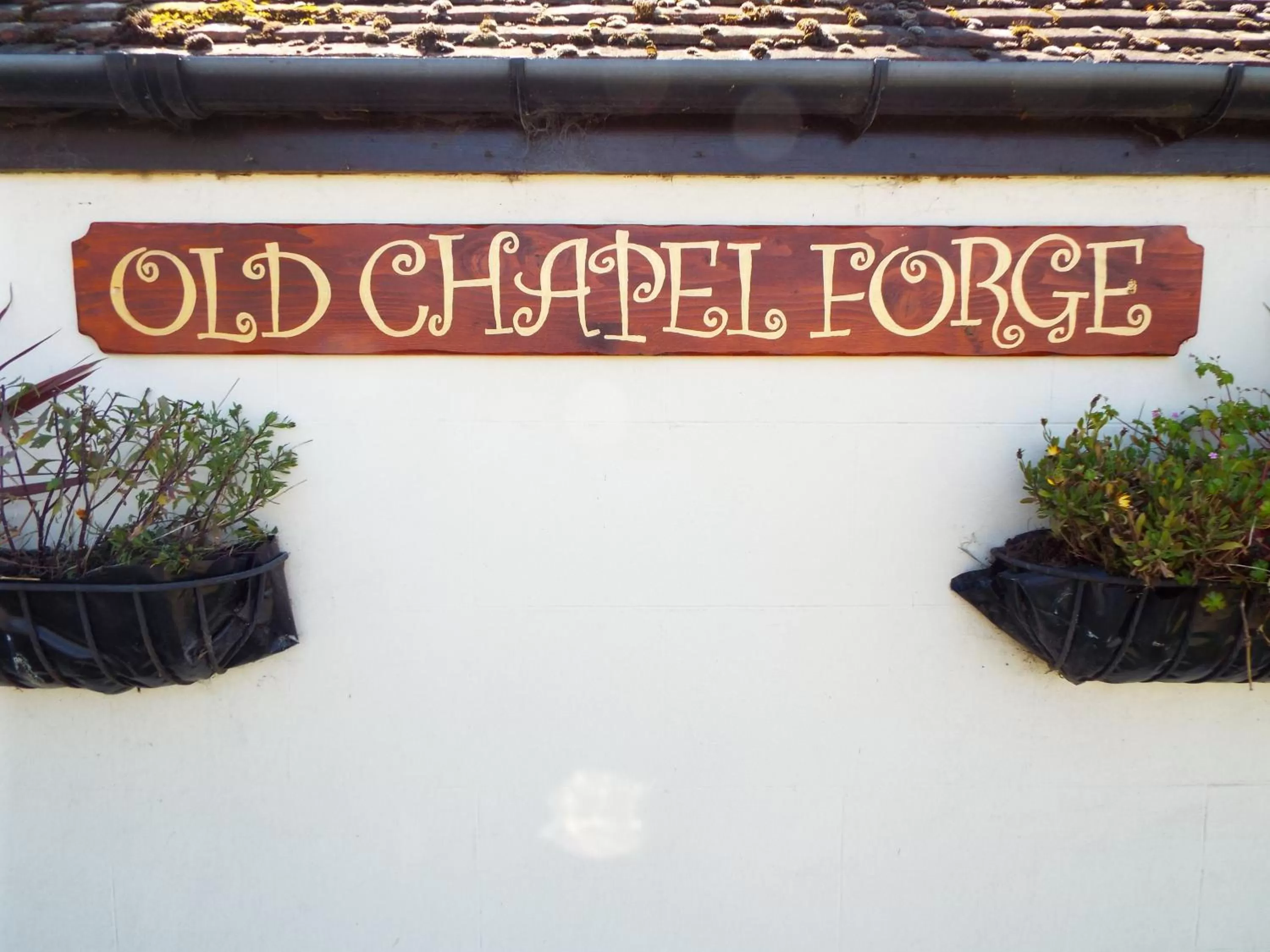 Property logo or sign in Old Chapel Forge