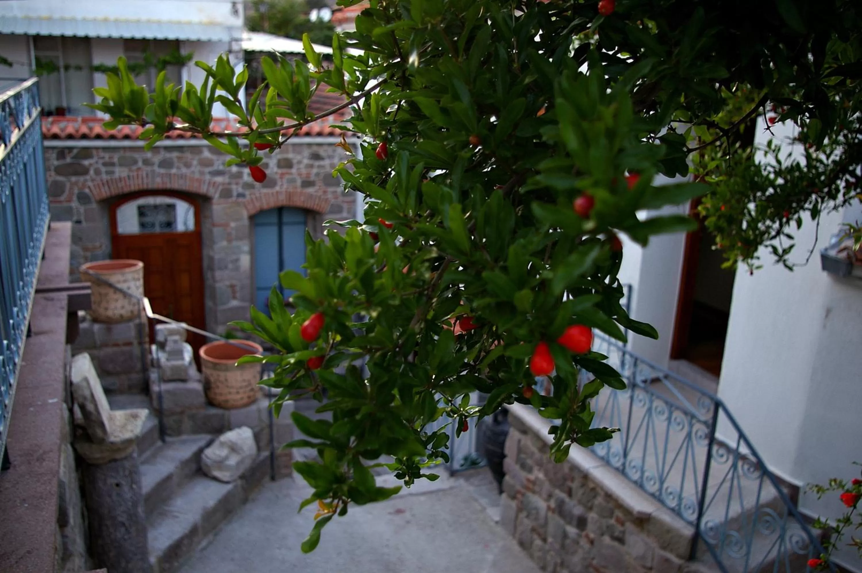 Garden, BBQ Facilities in Hera Hotel