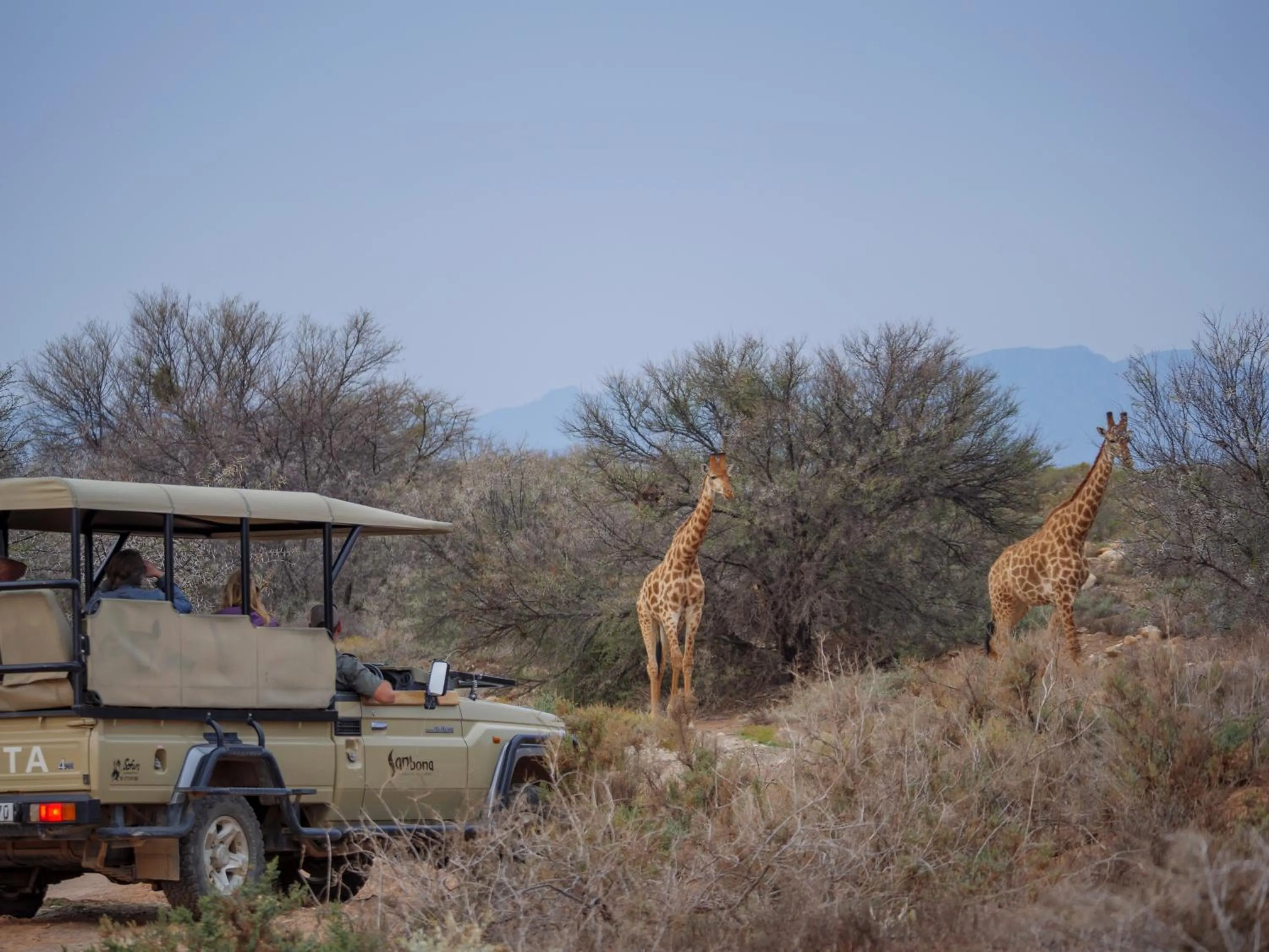 Animals in Sanbona Wildlife Reserve