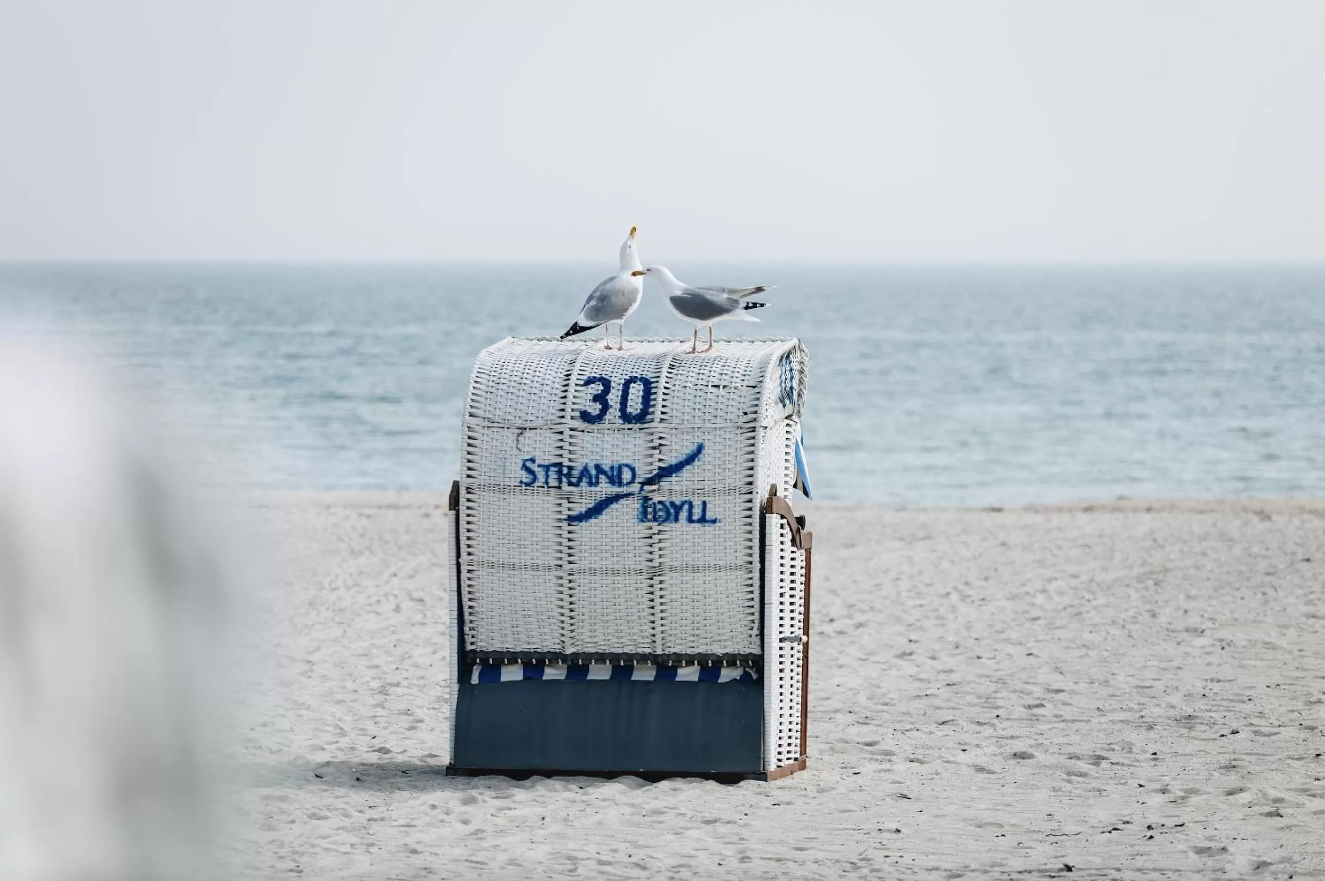 Beach in aja Grömitz