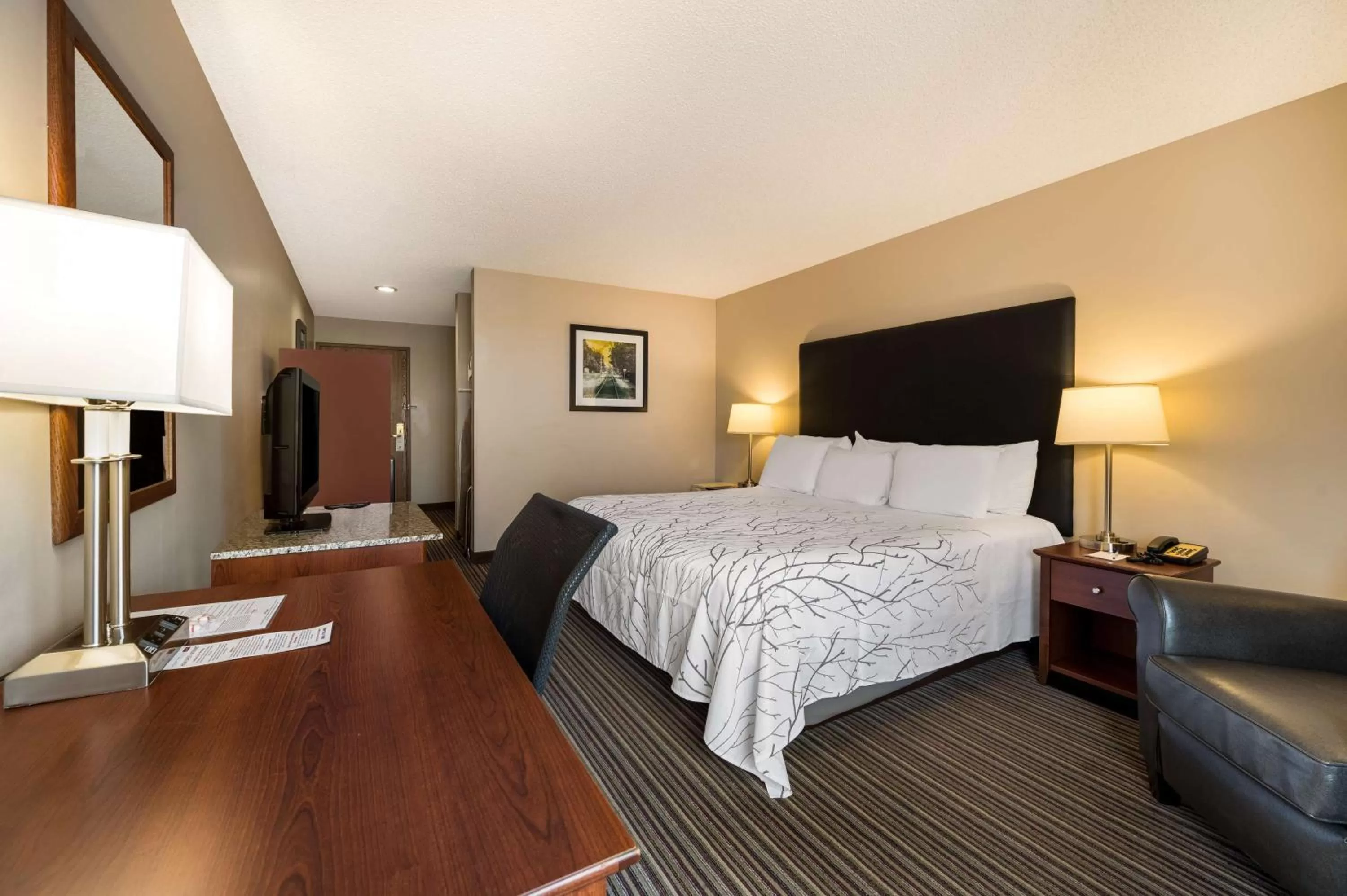 Bedroom, Bed in Best Western Park Oasis Inn