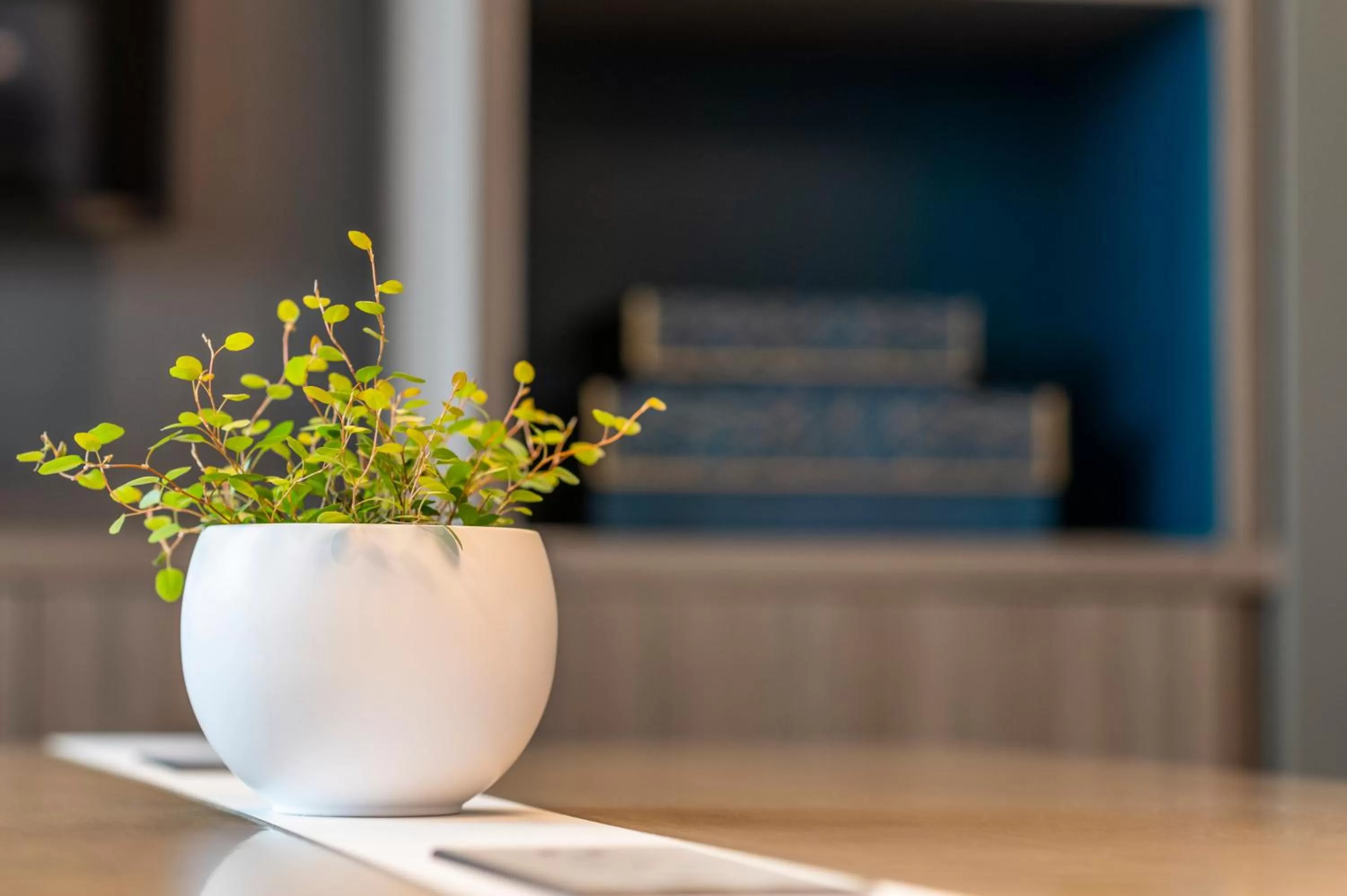 Other in Holiday Inn Kingston - Waterfront by IHG