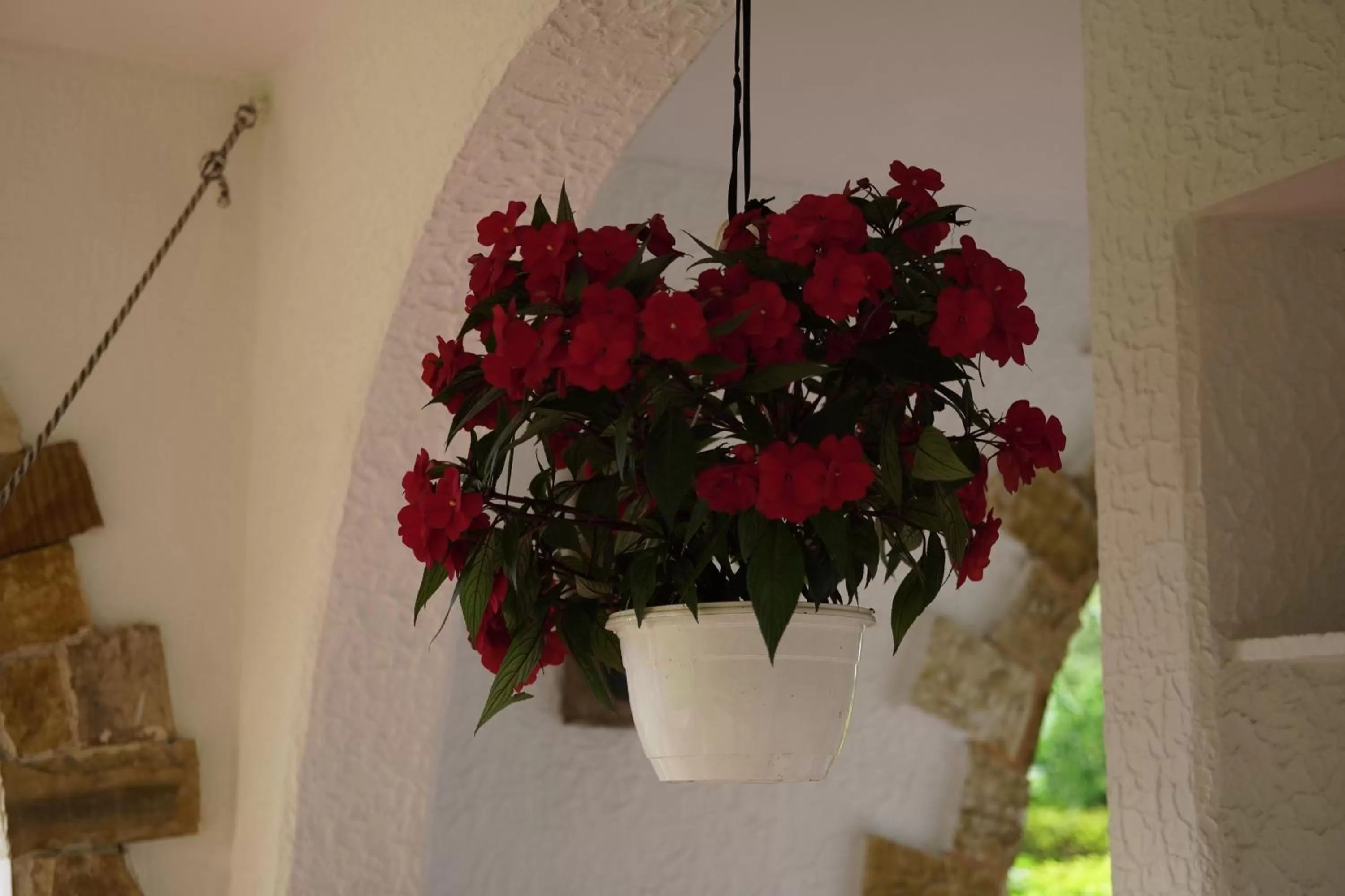 Garden in Hotel Chalet El Castillo by Majuva