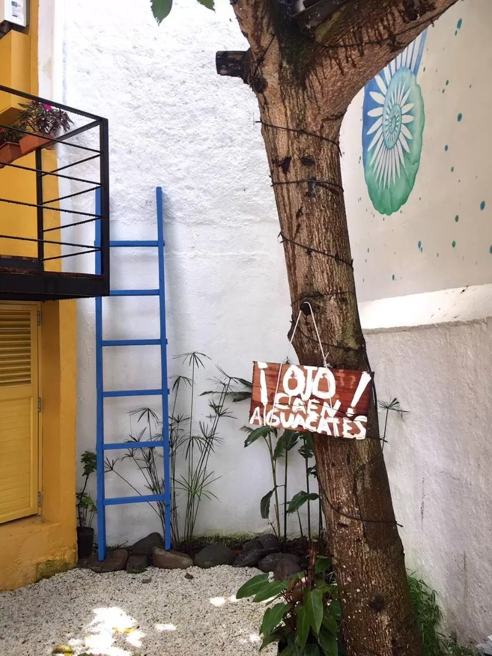 Garden, Property Logo/Sign in Hotel La Caracola