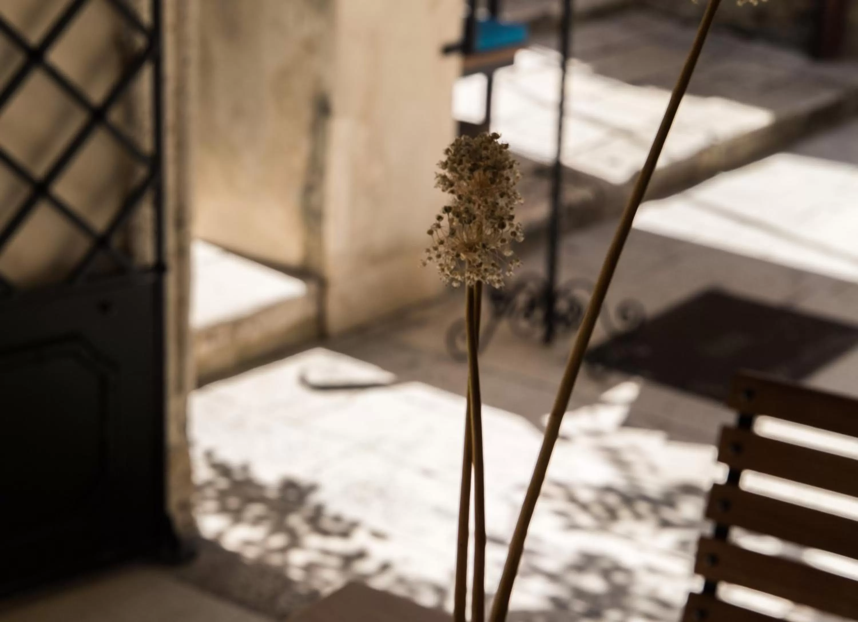 Restaurant/places to eat in Slavija Culture Heritage Hotel