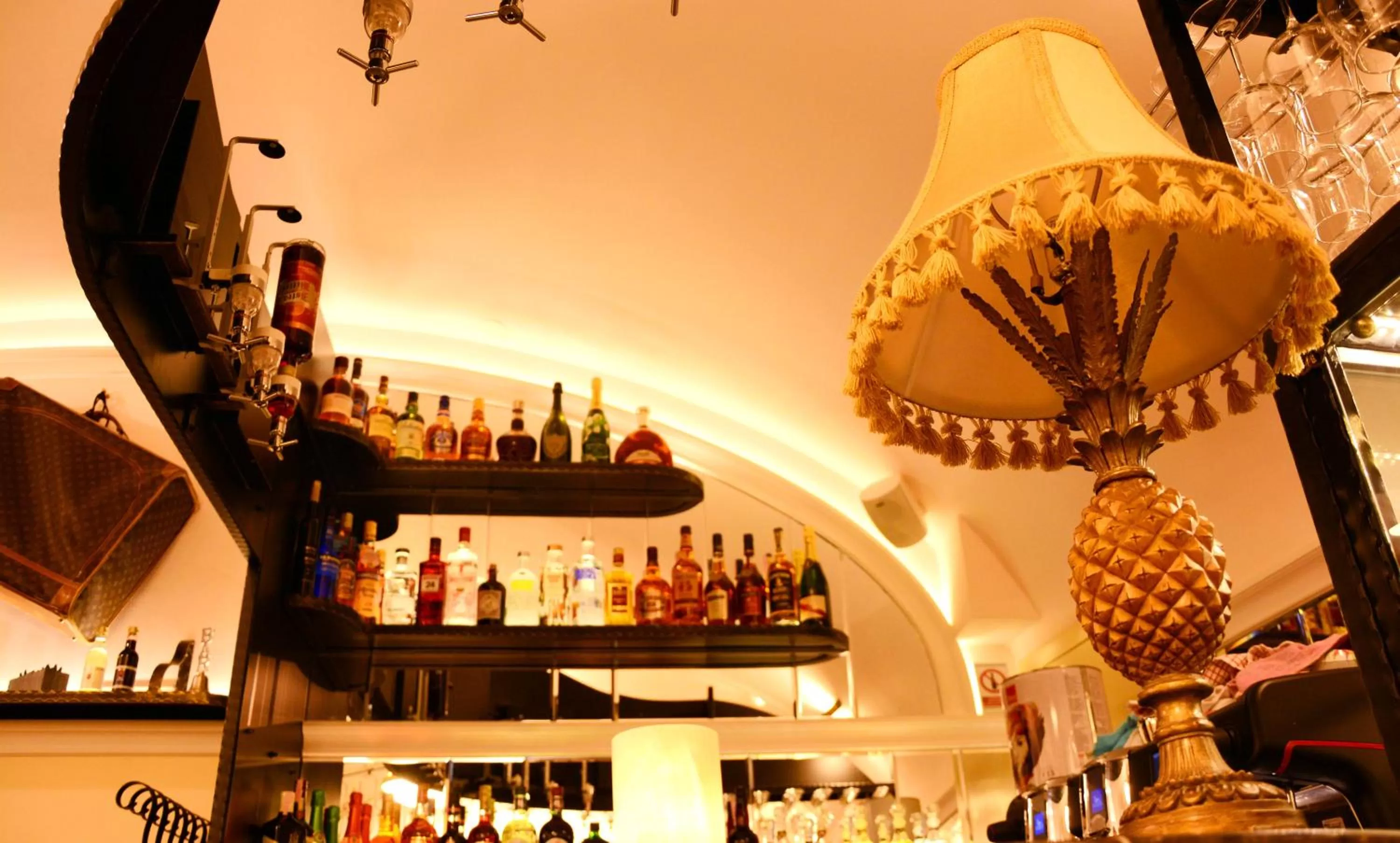 Arbia Dorka Heritage Palace