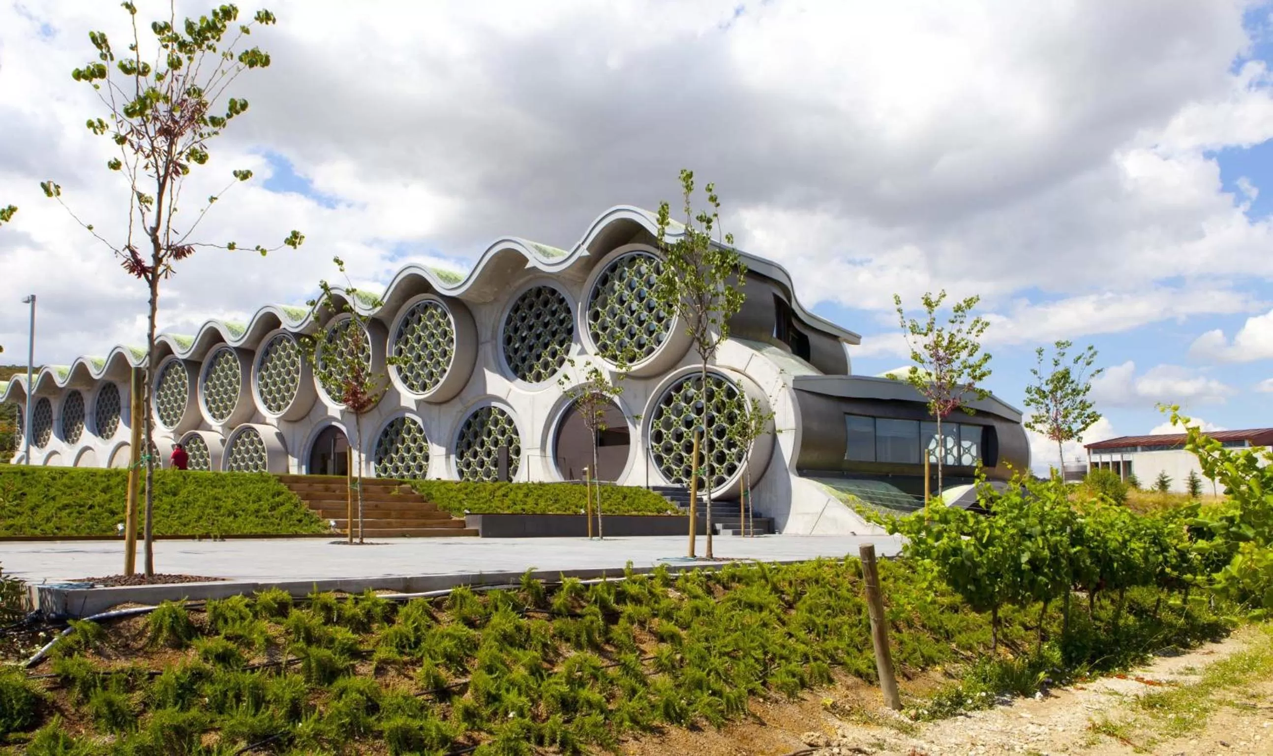 Natural landscape in Mastinell Cava & Boutique Hotel by Olivia Hotels Collection